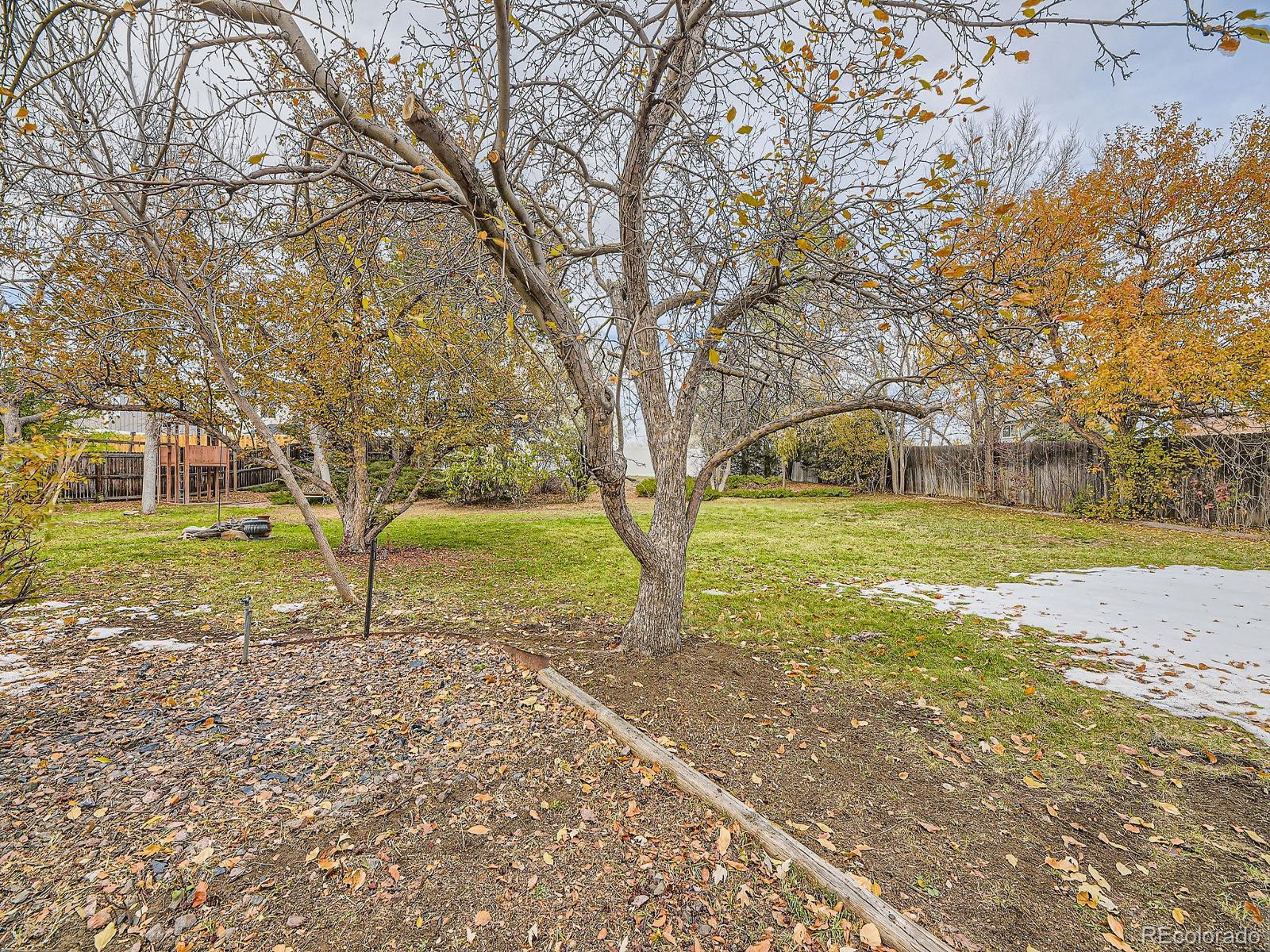 MLS Image #28 for 824 s nelson way,lakewood, Colorado