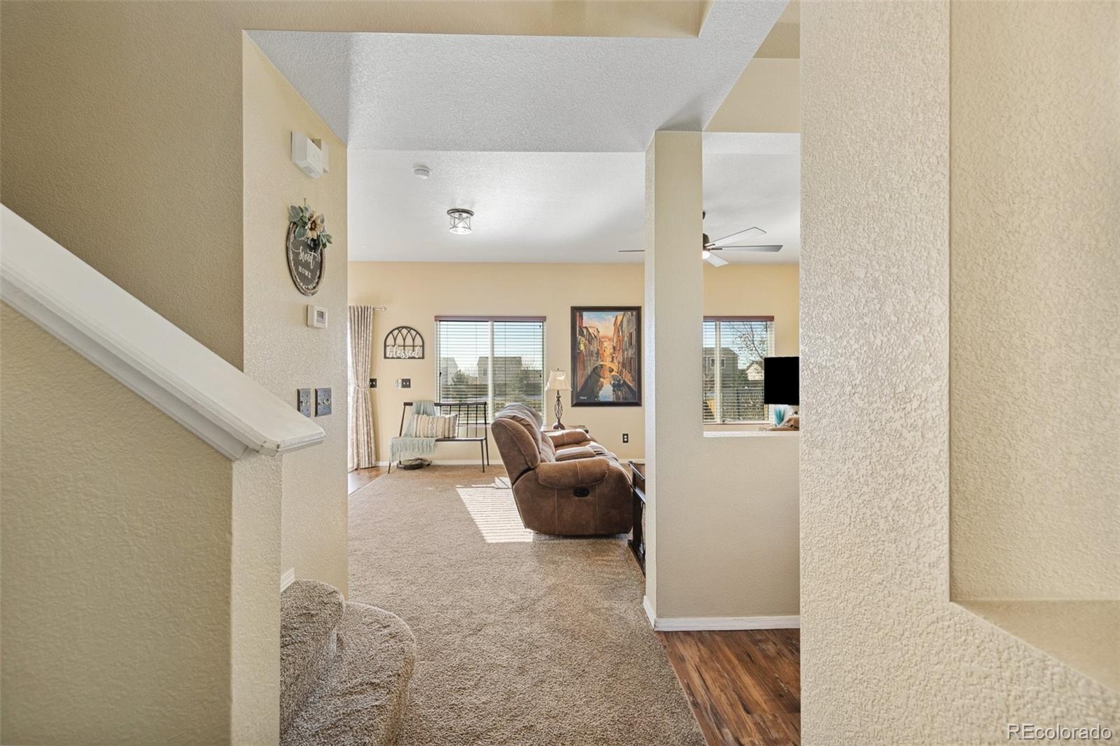 MLS Image #6 for 6427  silverwind circle,colorado springs, Colorado