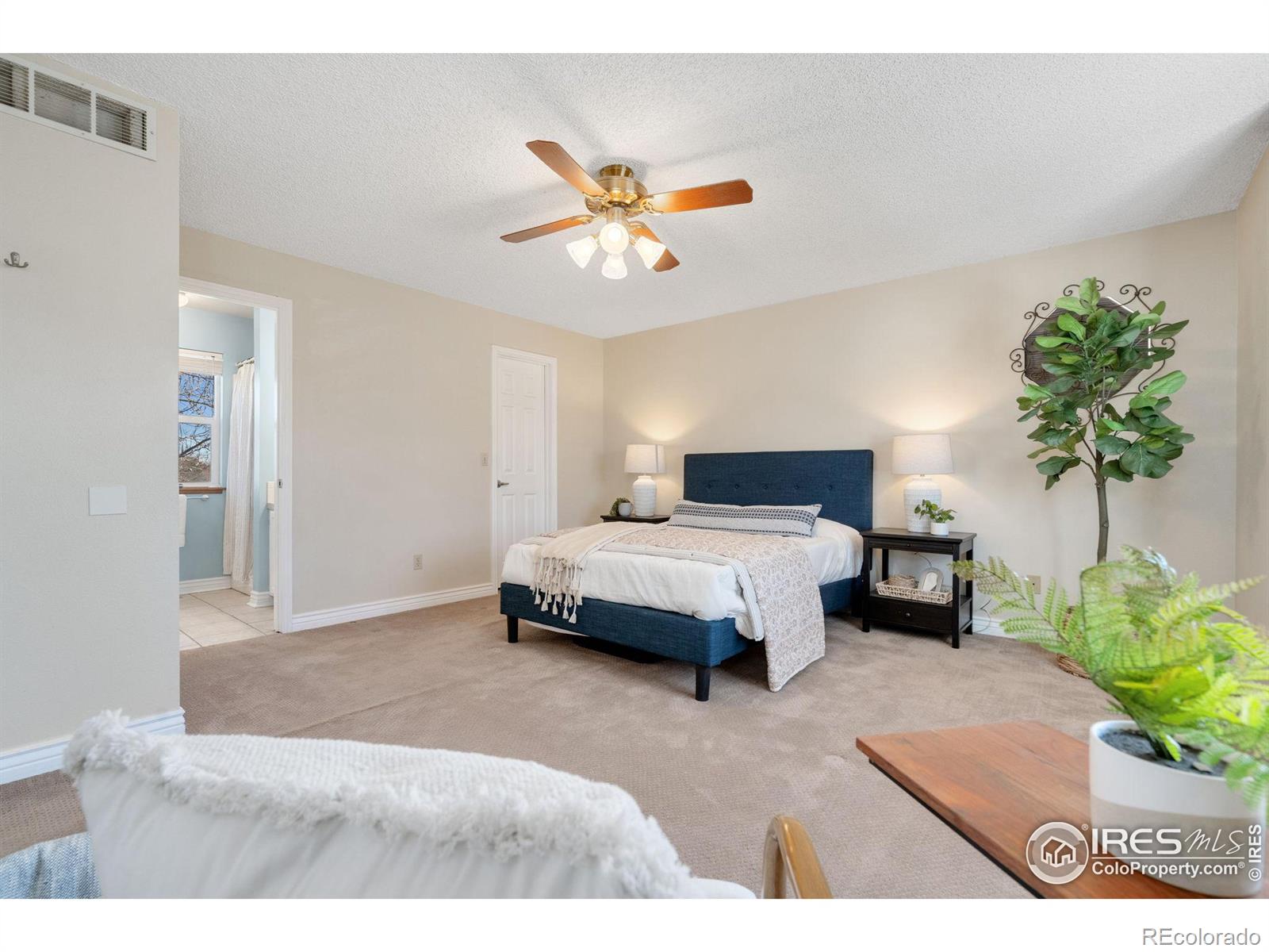 MLS Image #9 for 1416  tori court,loveland, Colorado