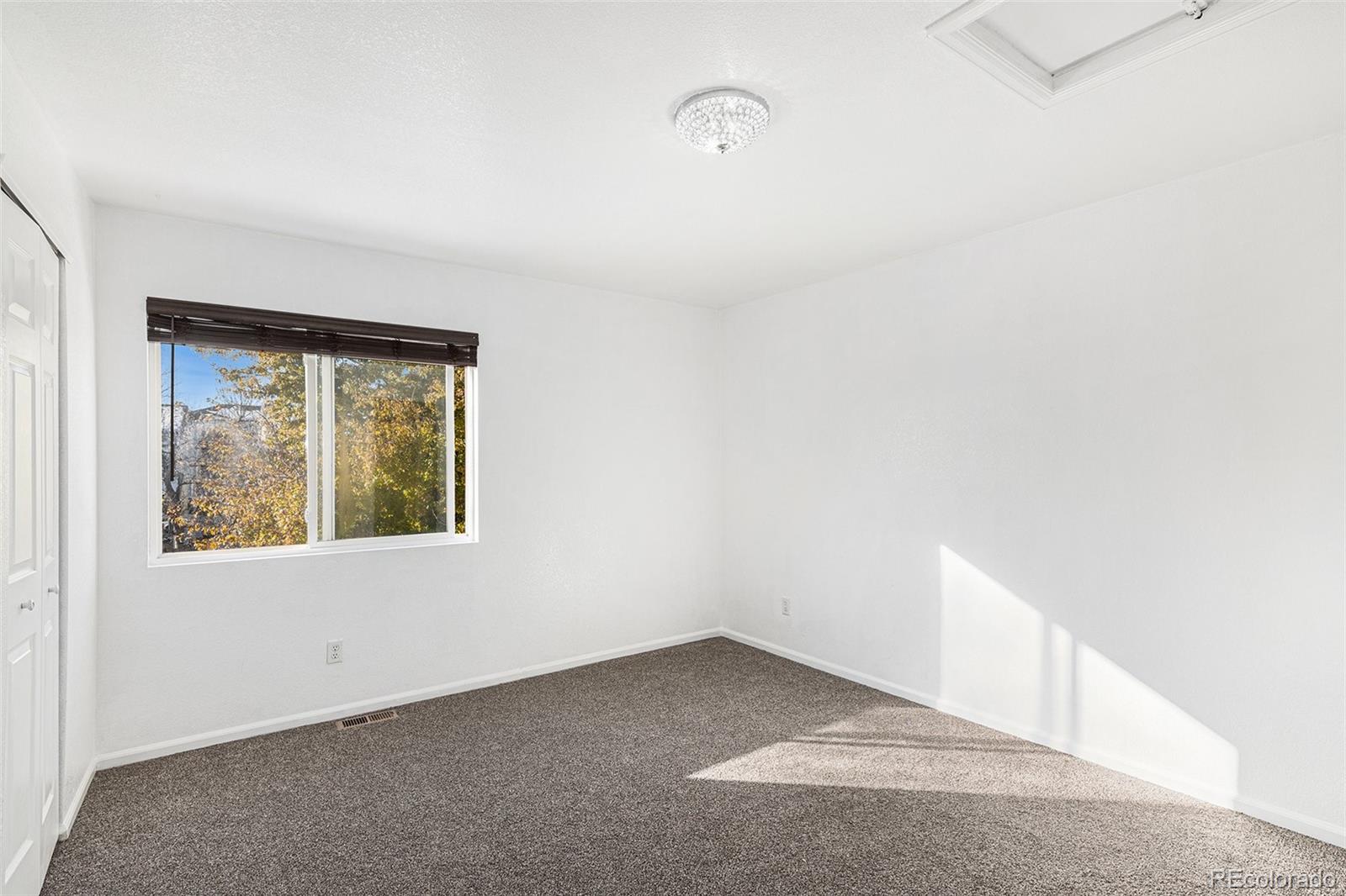 MLS Image #8 for 4396  andes court,denver, Colorado