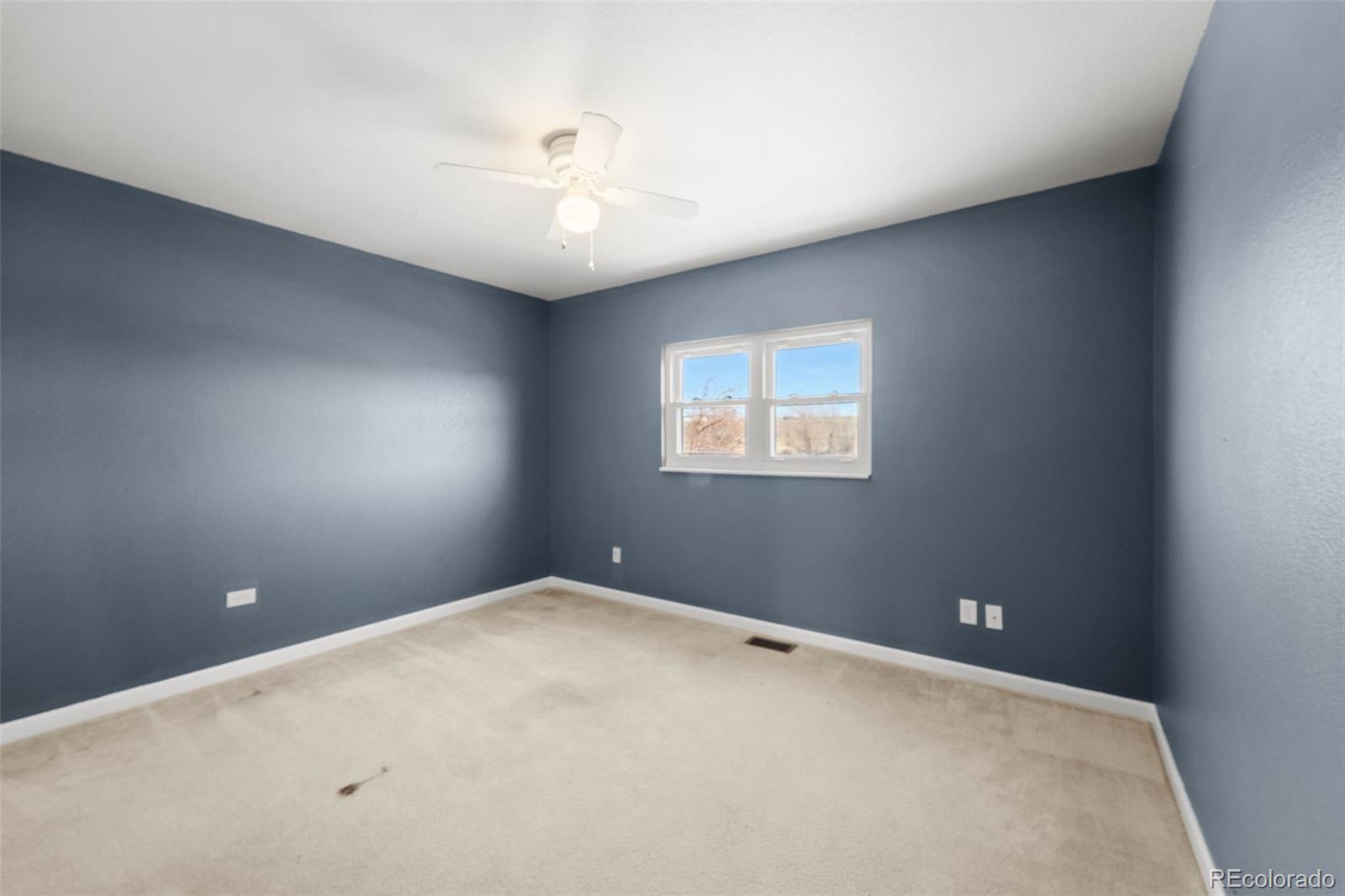 MLS Image #18 for 1345  marsh hawk drive,colorado springs, Colorado