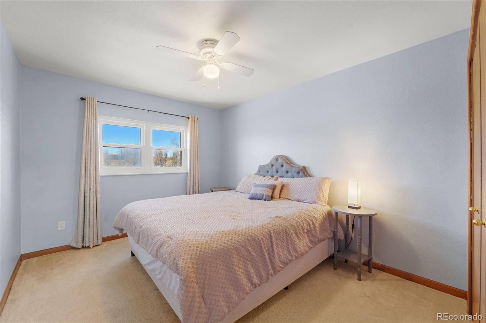 MLS Image #19 for 1345  marsh hawk drive,colorado springs, Colorado