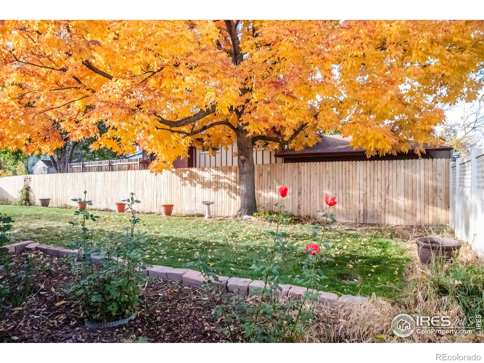 MLS Image #34 for 7683  lee drive,arvada, Colorado