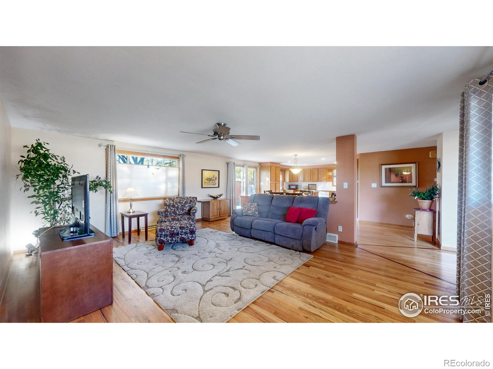 MLS Image #6 for 1233  sunset street,longmont, Colorado