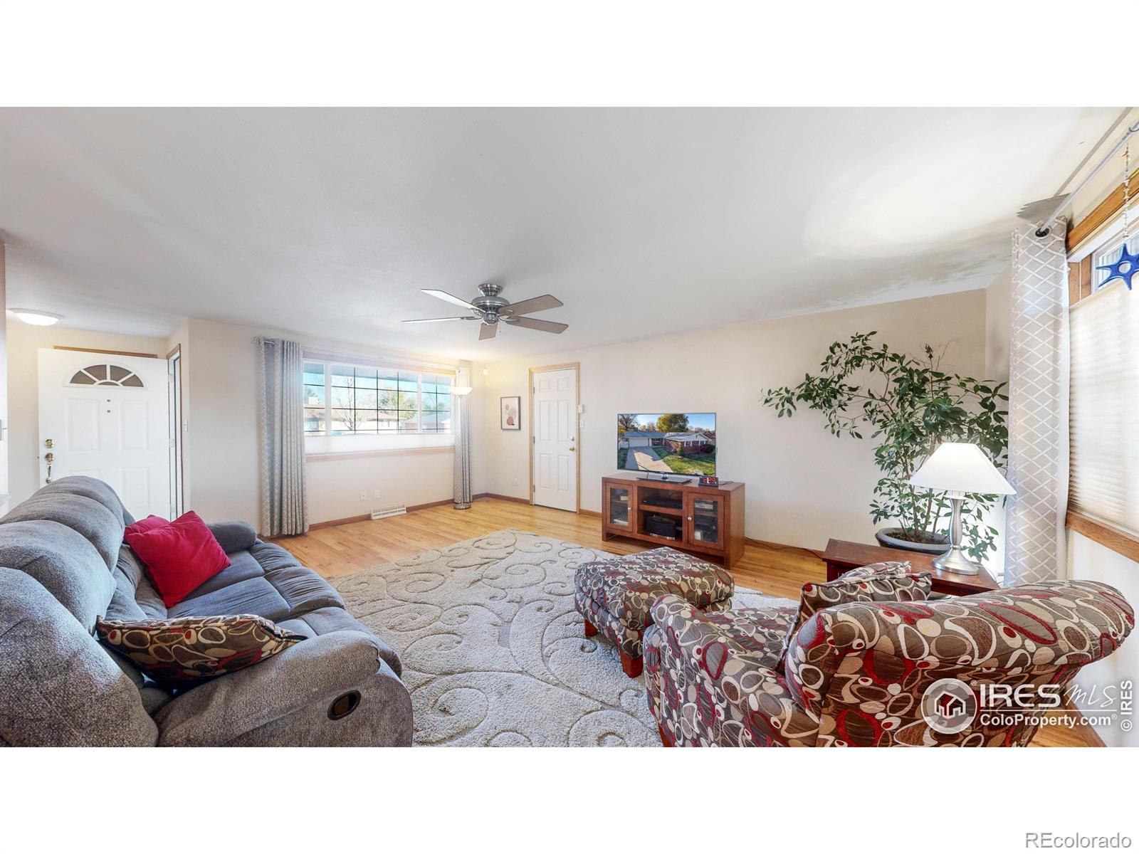 MLS Image #8 for 1233  sunset street,longmont, Colorado