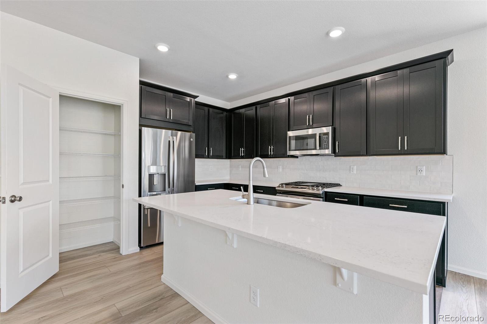 MLS Image #12 for 1805  water birch way,castle rock, Colorado