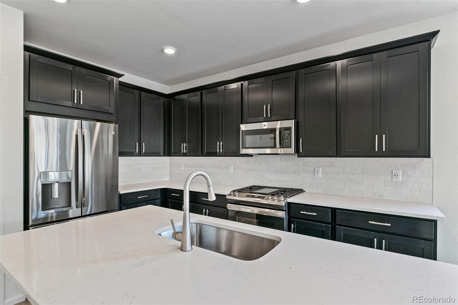 MLS Image #13 for 1805  water birch way,castle rock, Colorado