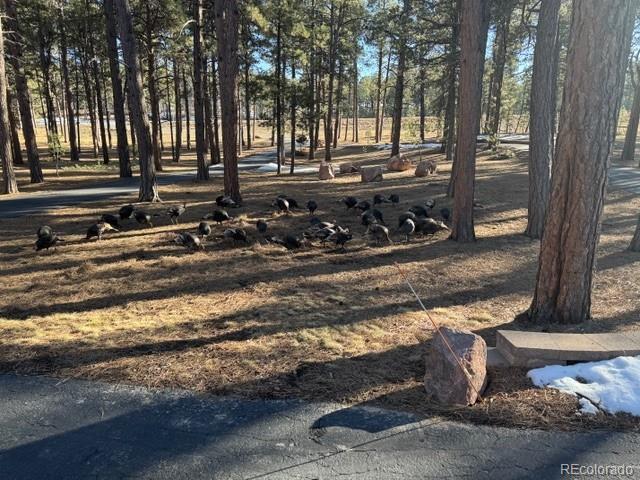 MLS Image #37 for 8890  hodgen road,colorado springs, Colorado
