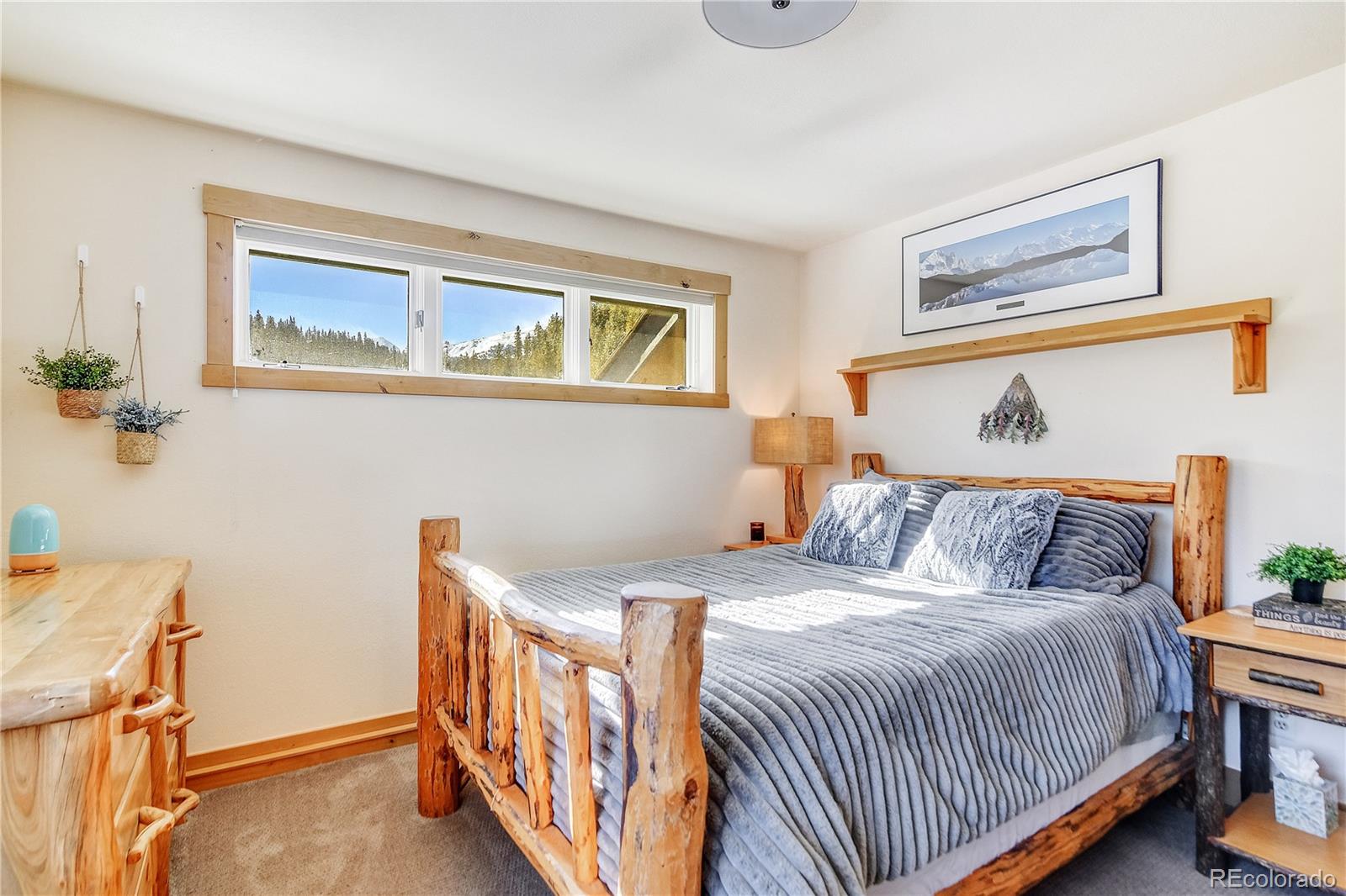 MLS Image #11 for 6292  barton road,breckenridge, Colorado