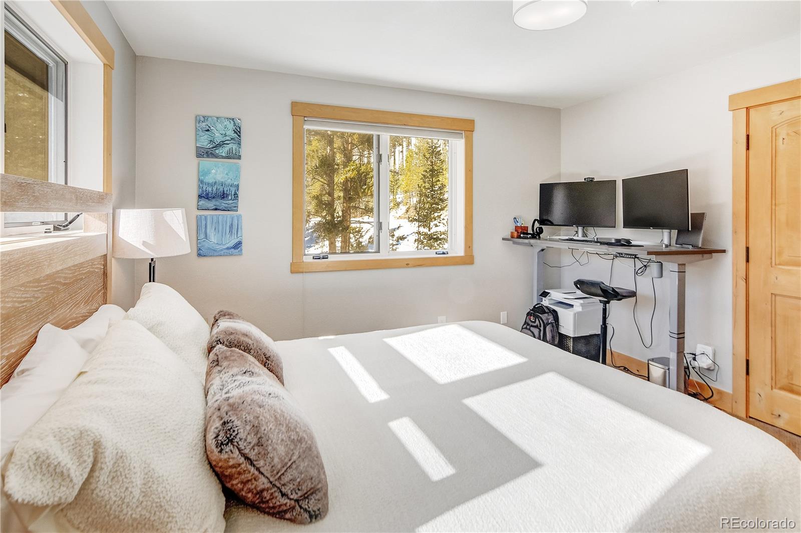 MLS Image #15 for 6292  barton road,breckenridge, Colorado