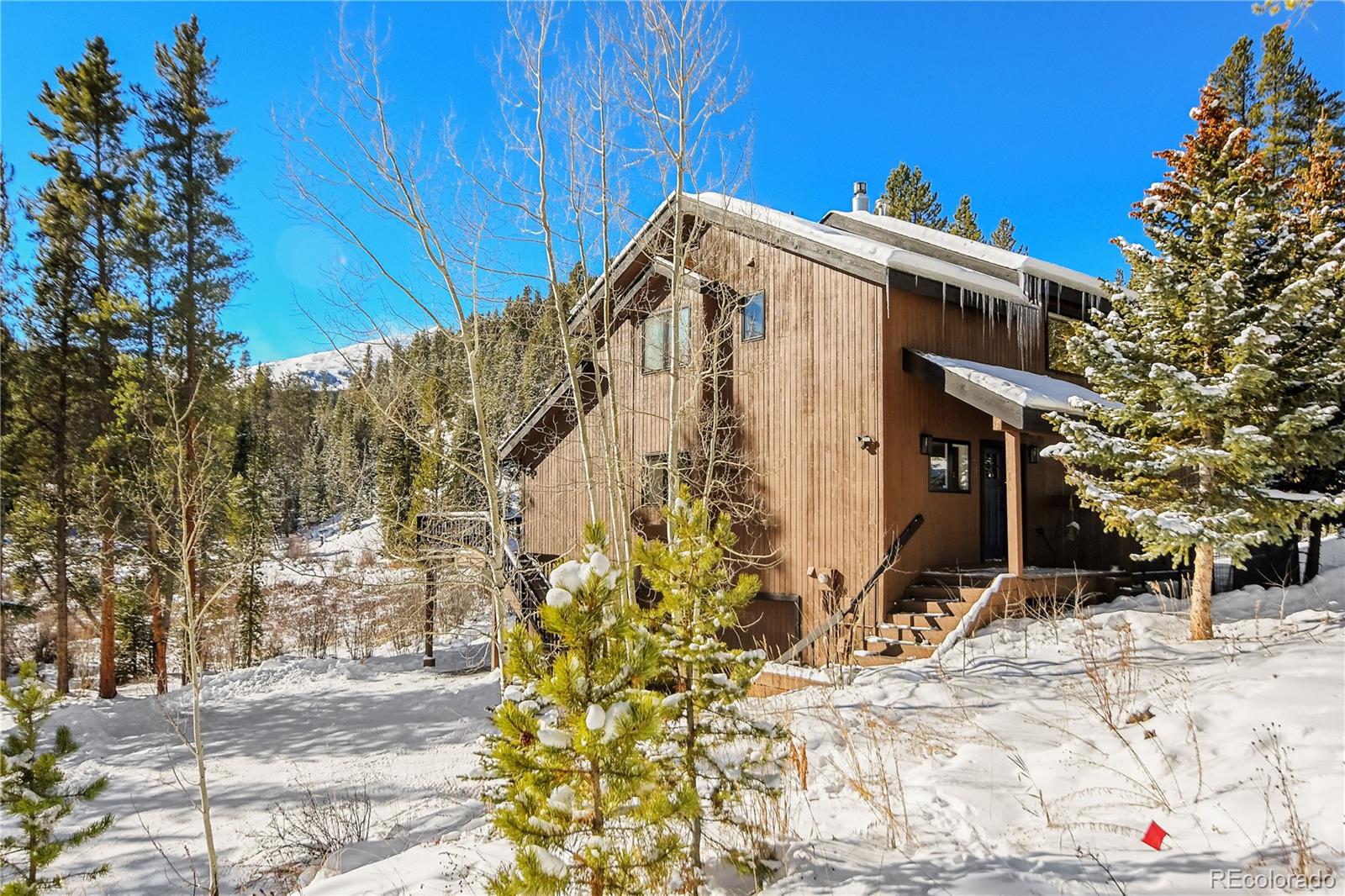 MLS Image #45 for 6292  barton road,breckenridge, Colorado