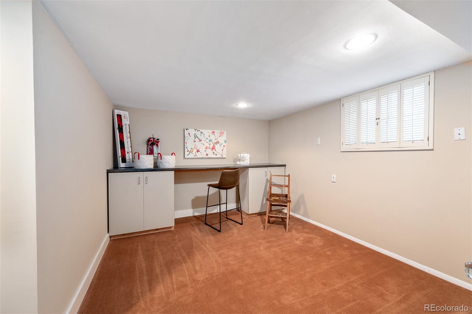 MLS Image #29 for 808 s josephine street,denver, Colorado