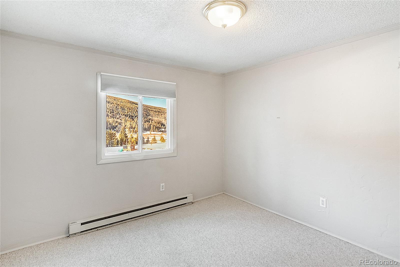 MLS Image #12 for 67  peaks view court,blue river, Colorado