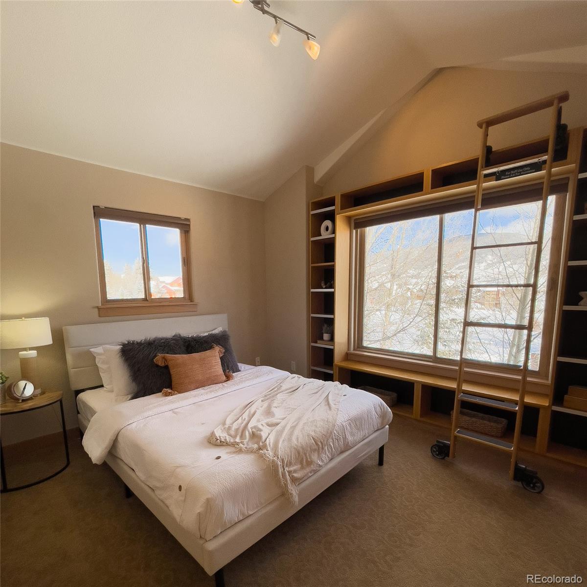 MLS Image #22 for 17  montane court,dillon, Colorado