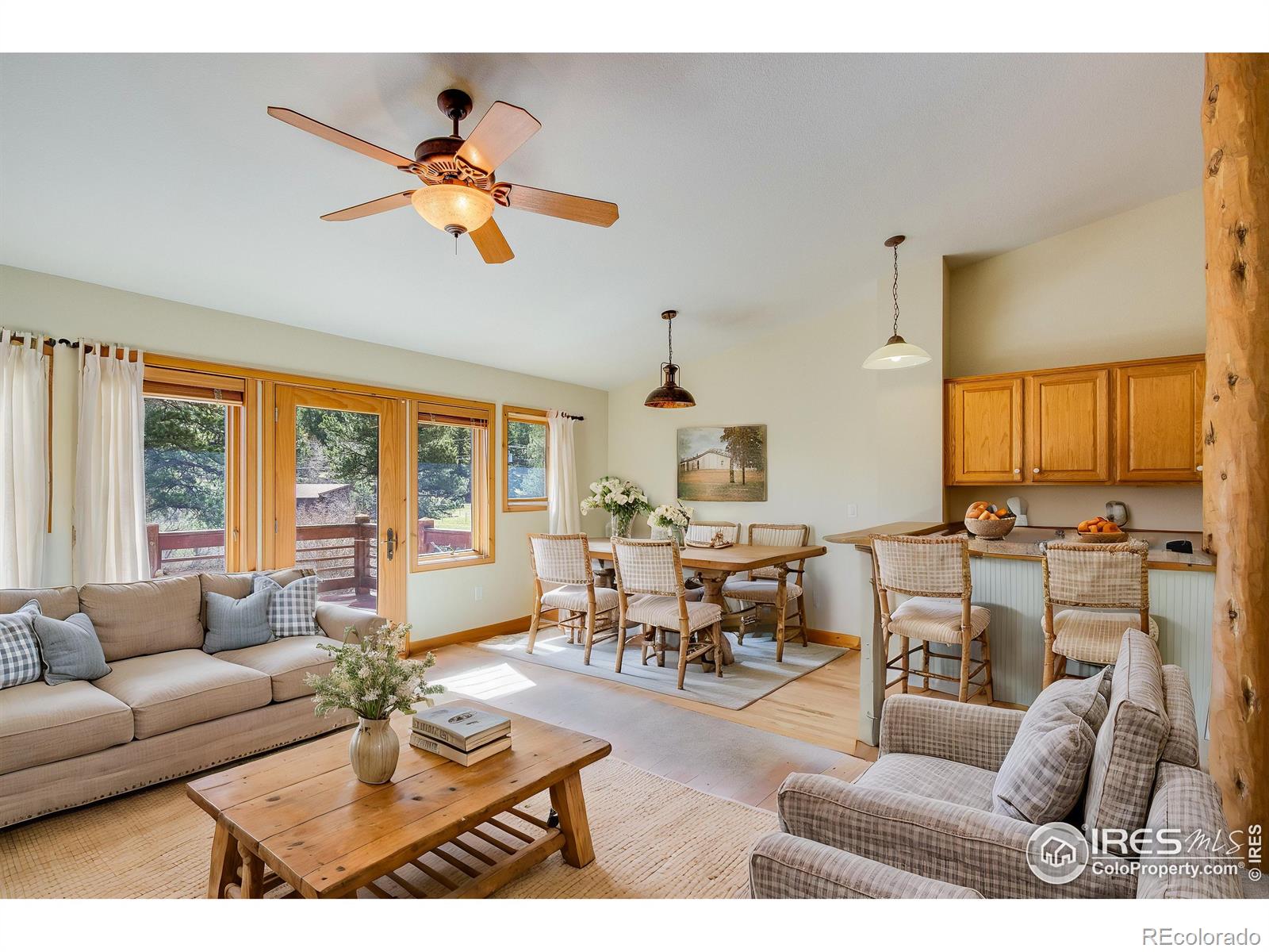 MLS Image #5 for 520  riverrock circle,estes park, Colorado