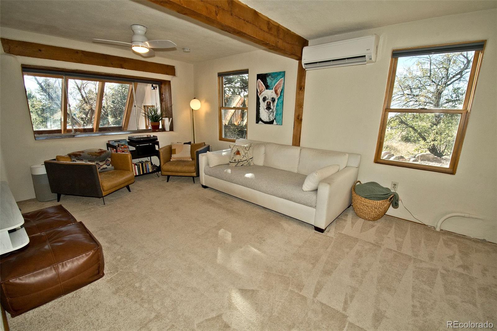 MLS Image #10 for 4108  cordial way,crestone, Colorado