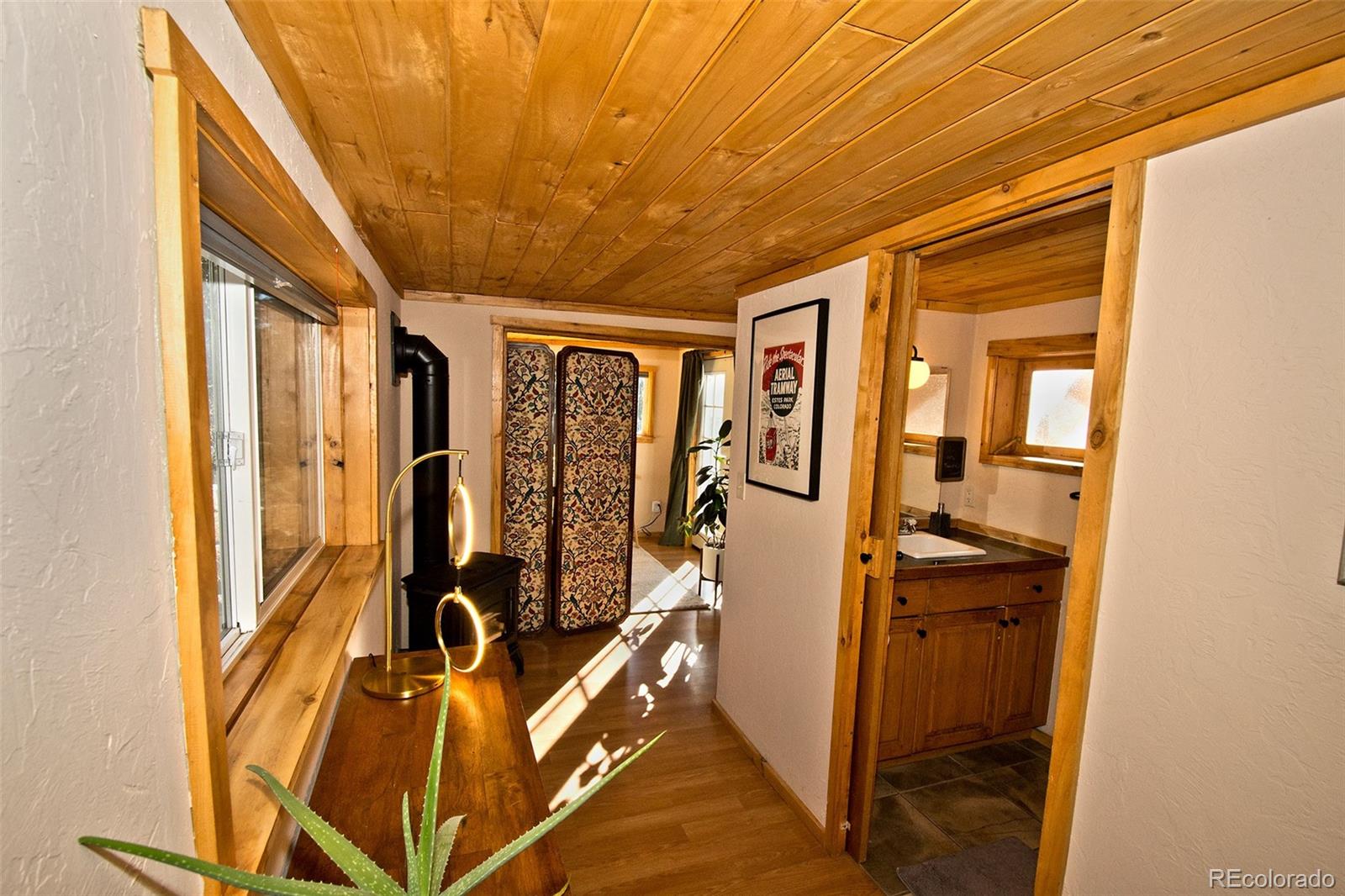 MLS Image #15 for 4108  cordial way,crestone, Colorado