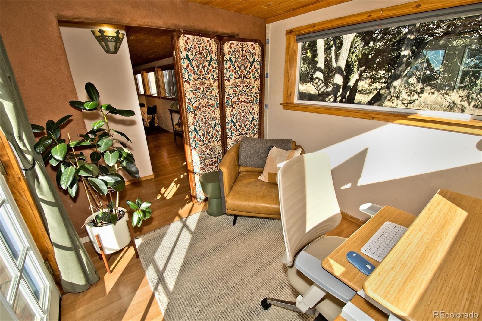 MLS Image #16 for 4108  cordial way,crestone, Colorado
