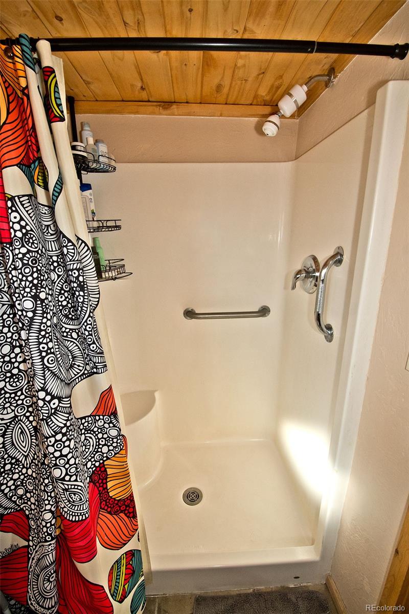 MLS Image #23 for 4108  cordial way,crestone, Colorado