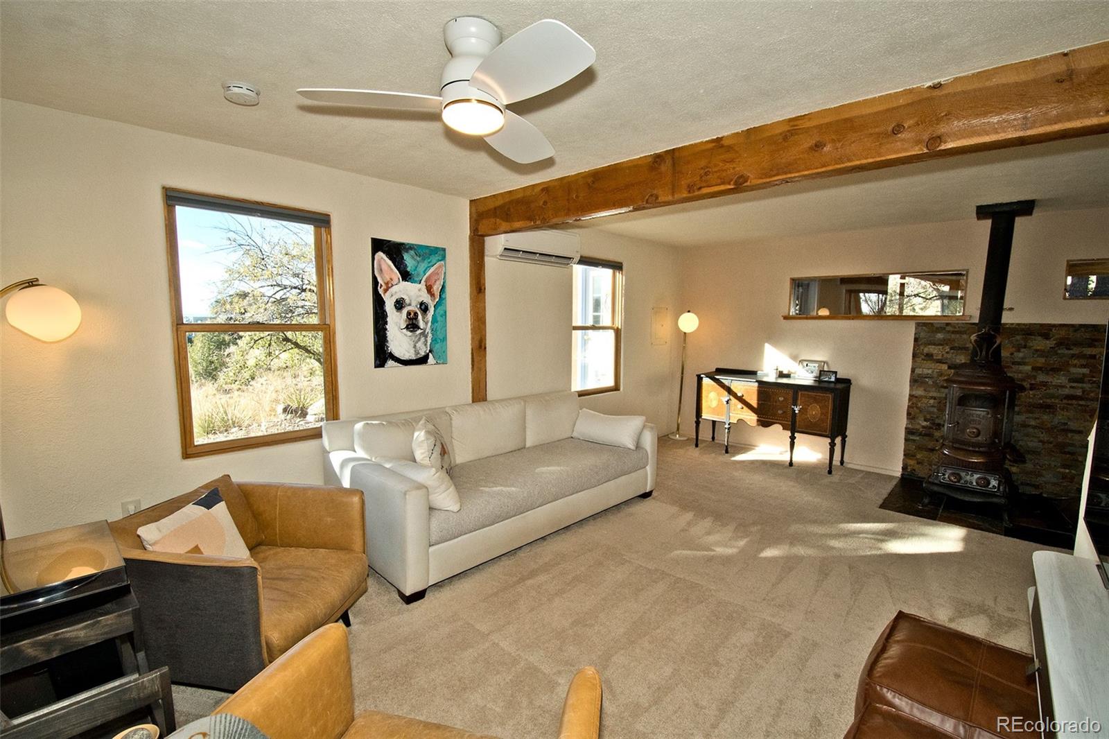 MLS Image #8 for 4108  cordial way,crestone, Colorado