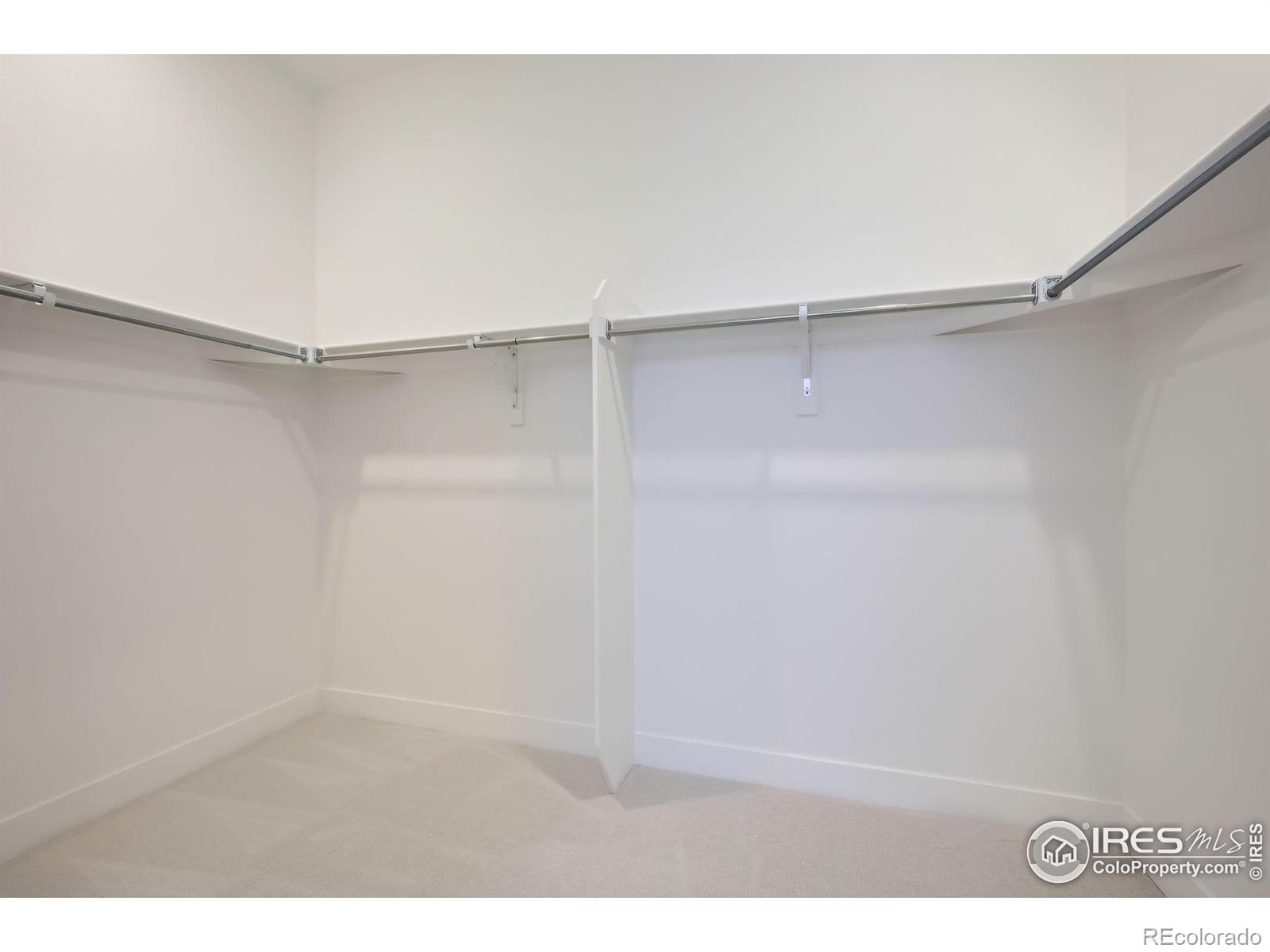 MLS Image #21 for 4352  trader street,timnath, Colorado