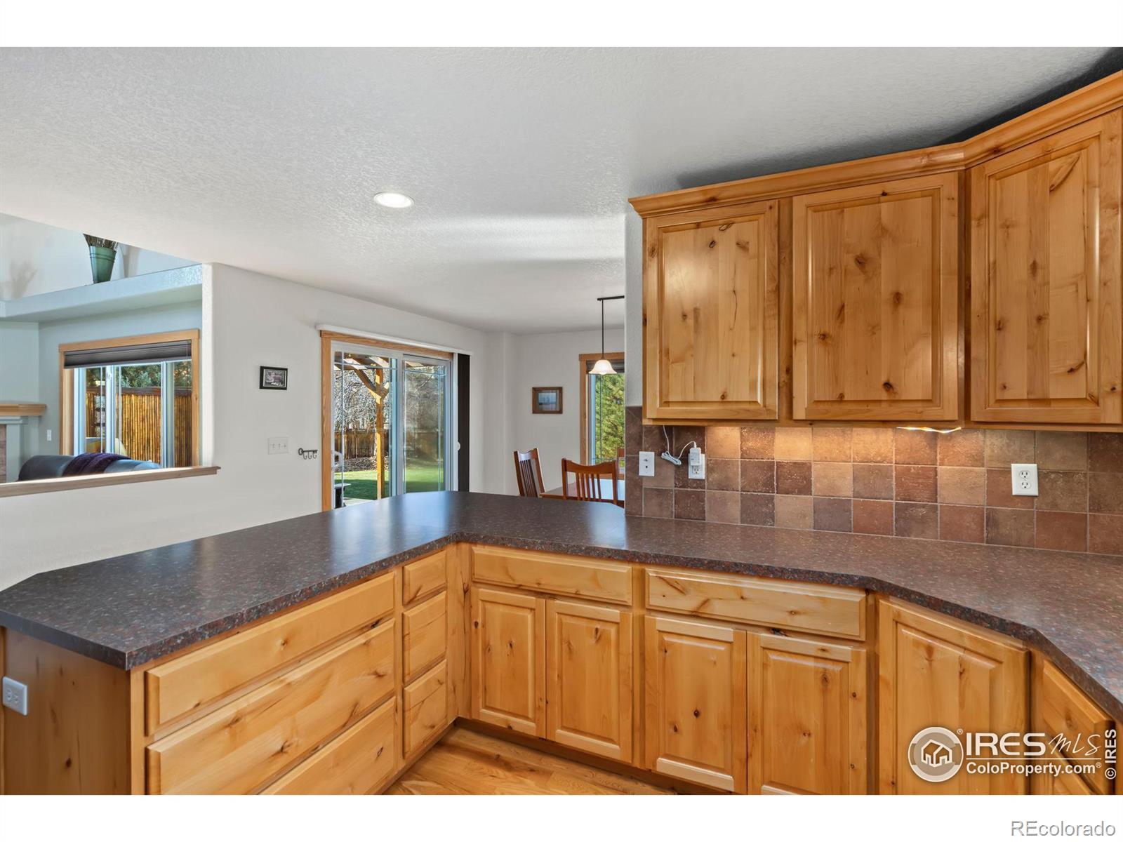 MLS Image #10 for 1405 n tributary court,fort collins, Colorado