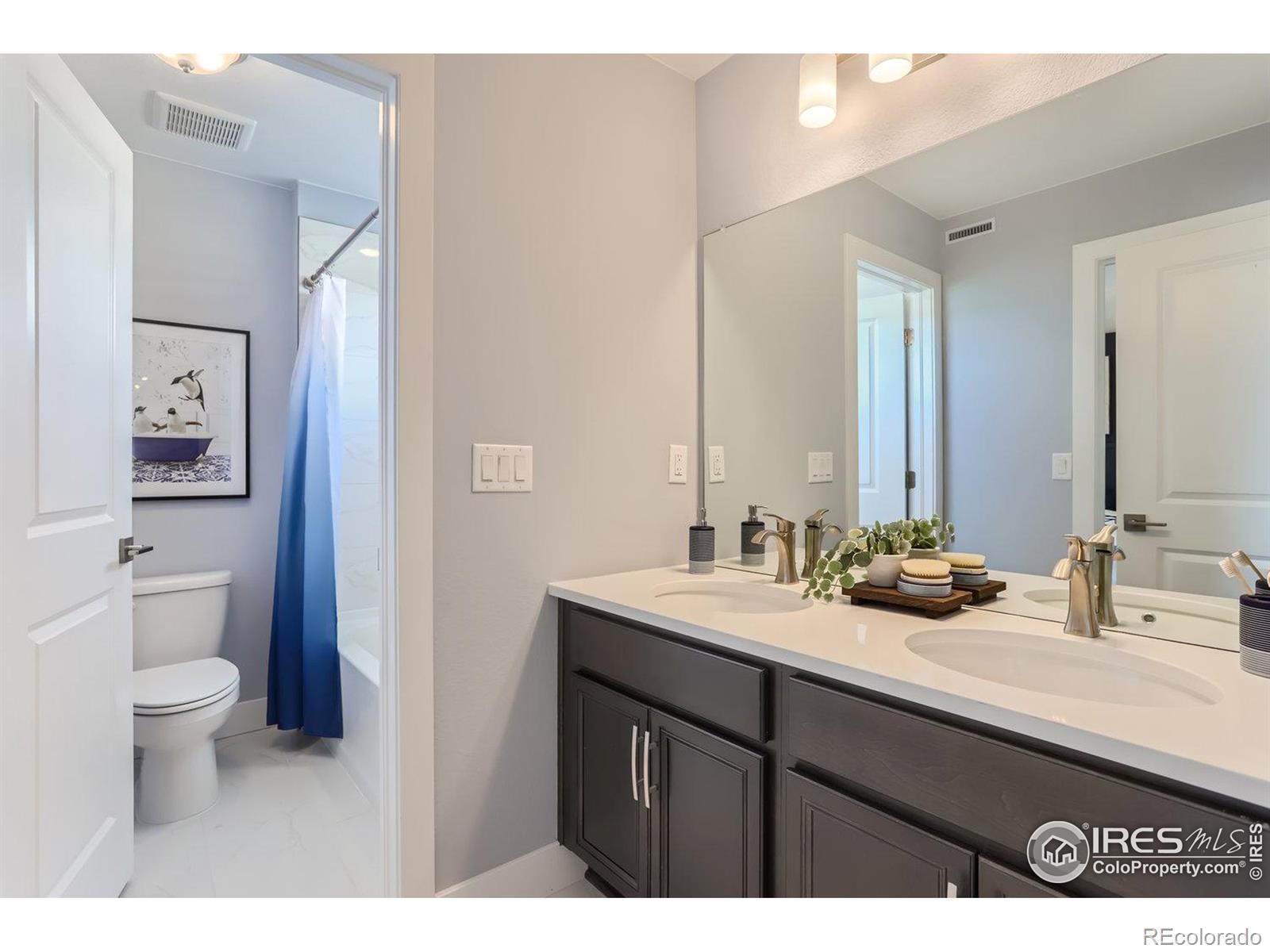 MLS Image #9 for 2756  bear springs circle,longmont, Colorado