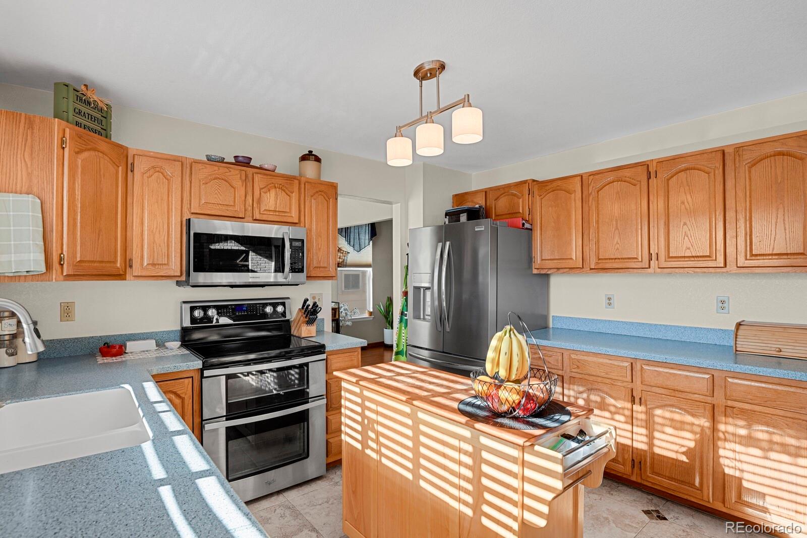 MLS Image #9 for 21806  saddlebrook ,parker, Colorado