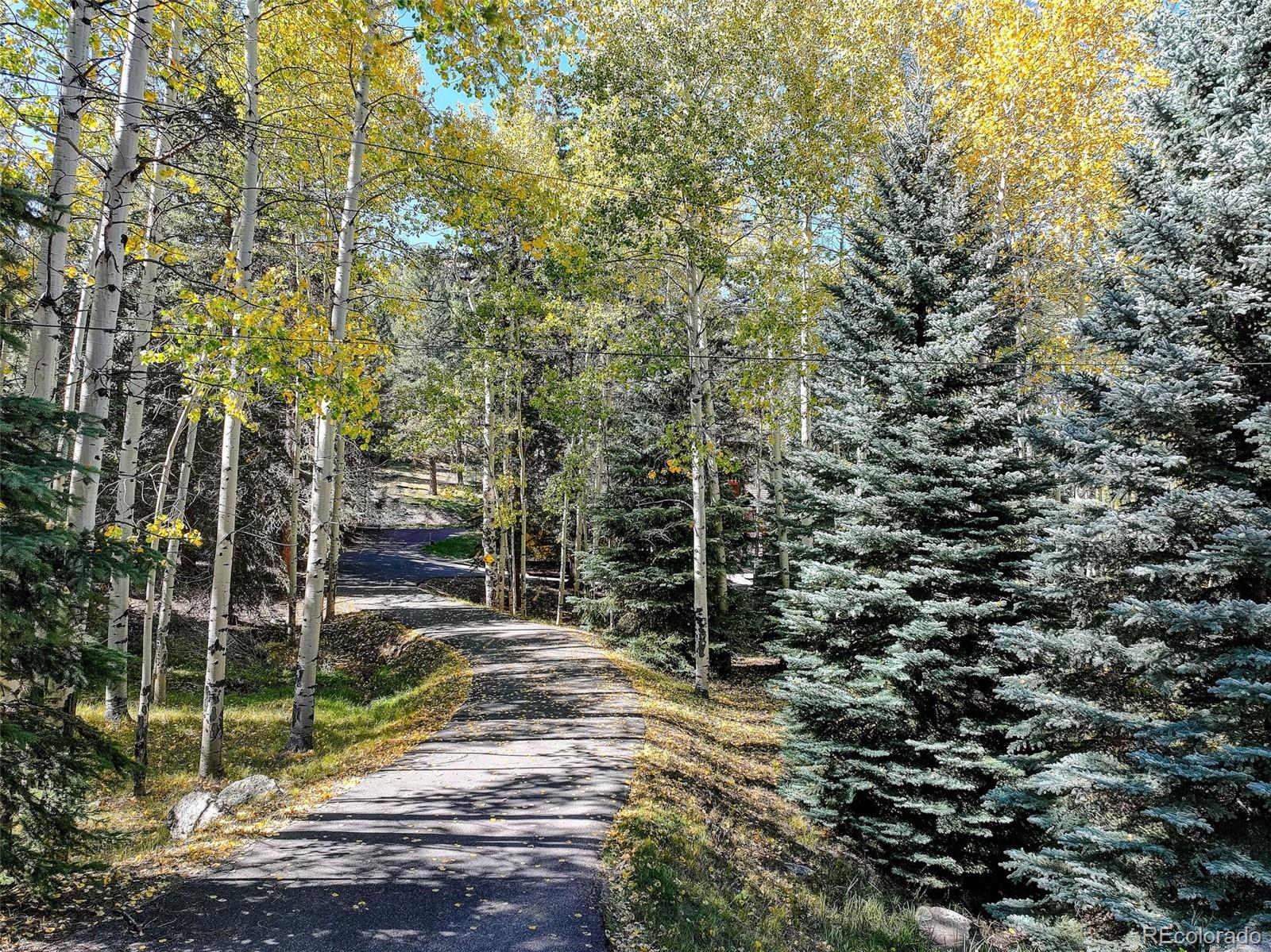 MLS Image #43 for 6443  annapurna drive,evergreen, Colorado