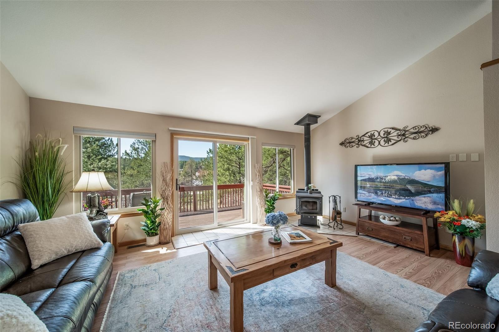 MLS Image #10 for 767  tenderfoot drive,larkspur, Colorado