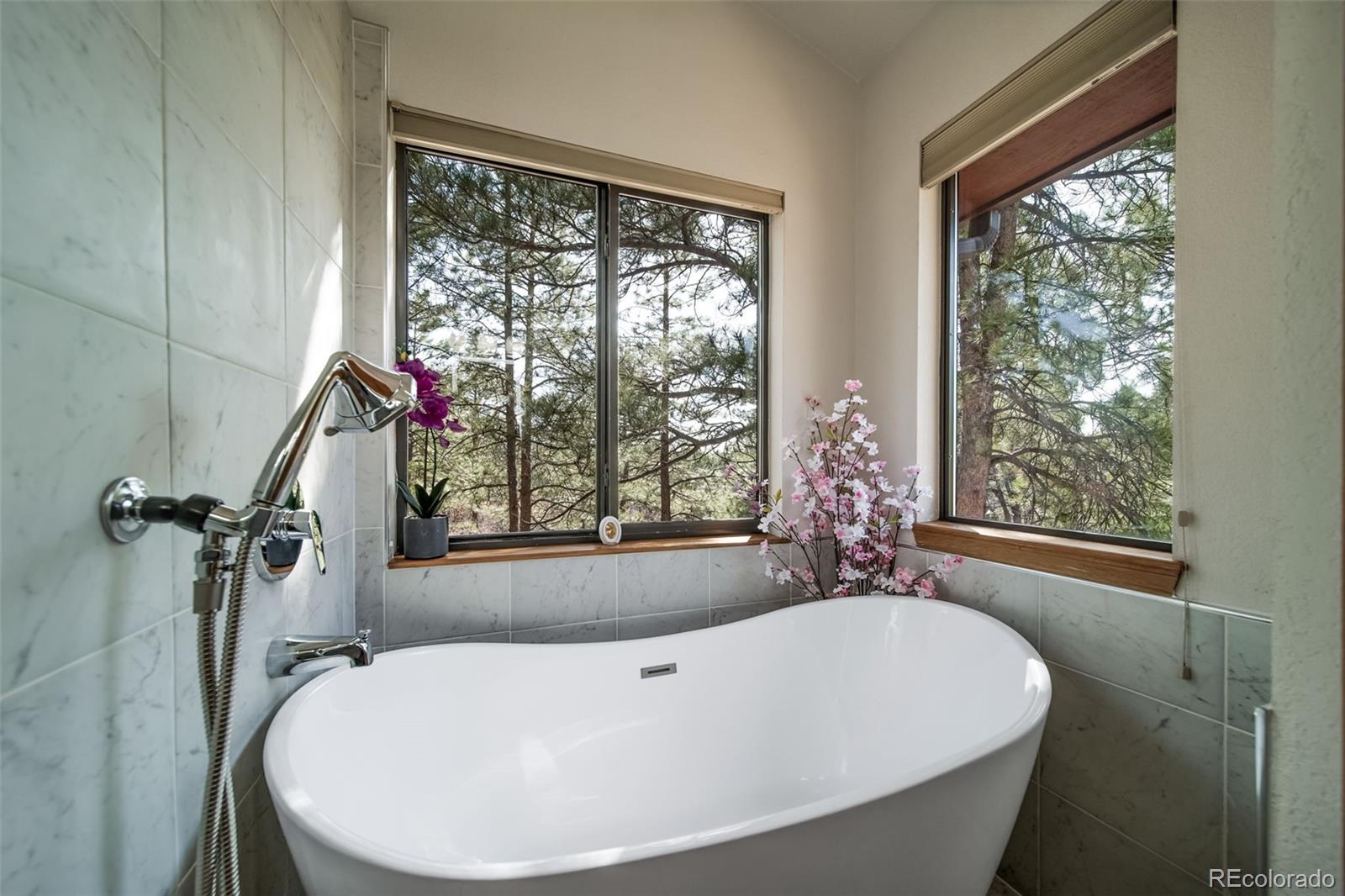MLS Image #27 for 767  tenderfoot drive,larkspur, Colorado