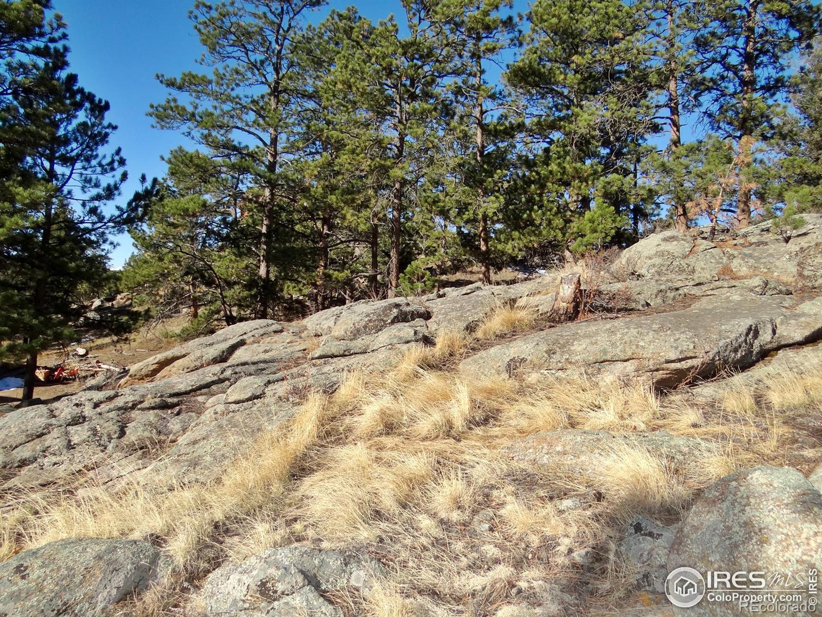 MLS Image #24 for 915  manhead mountain drive,livermore, Colorado