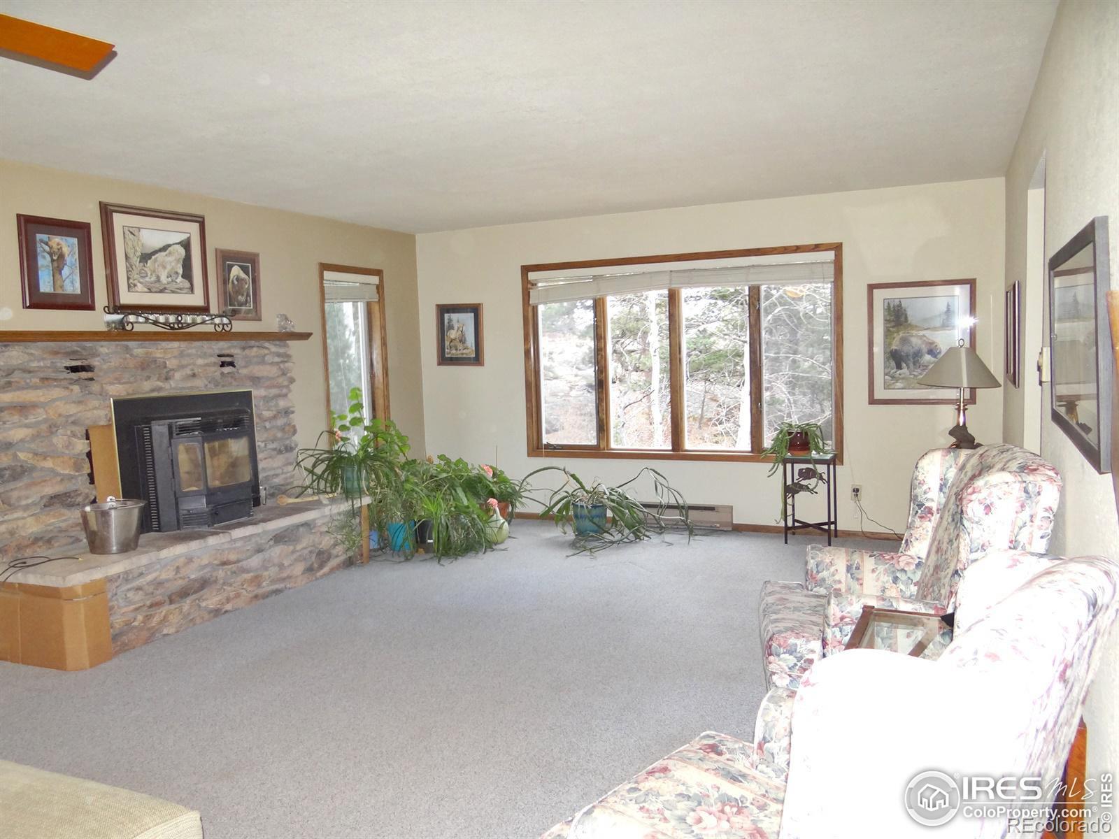 MLS Image #6 for 915  manhead mountain drive,livermore, Colorado