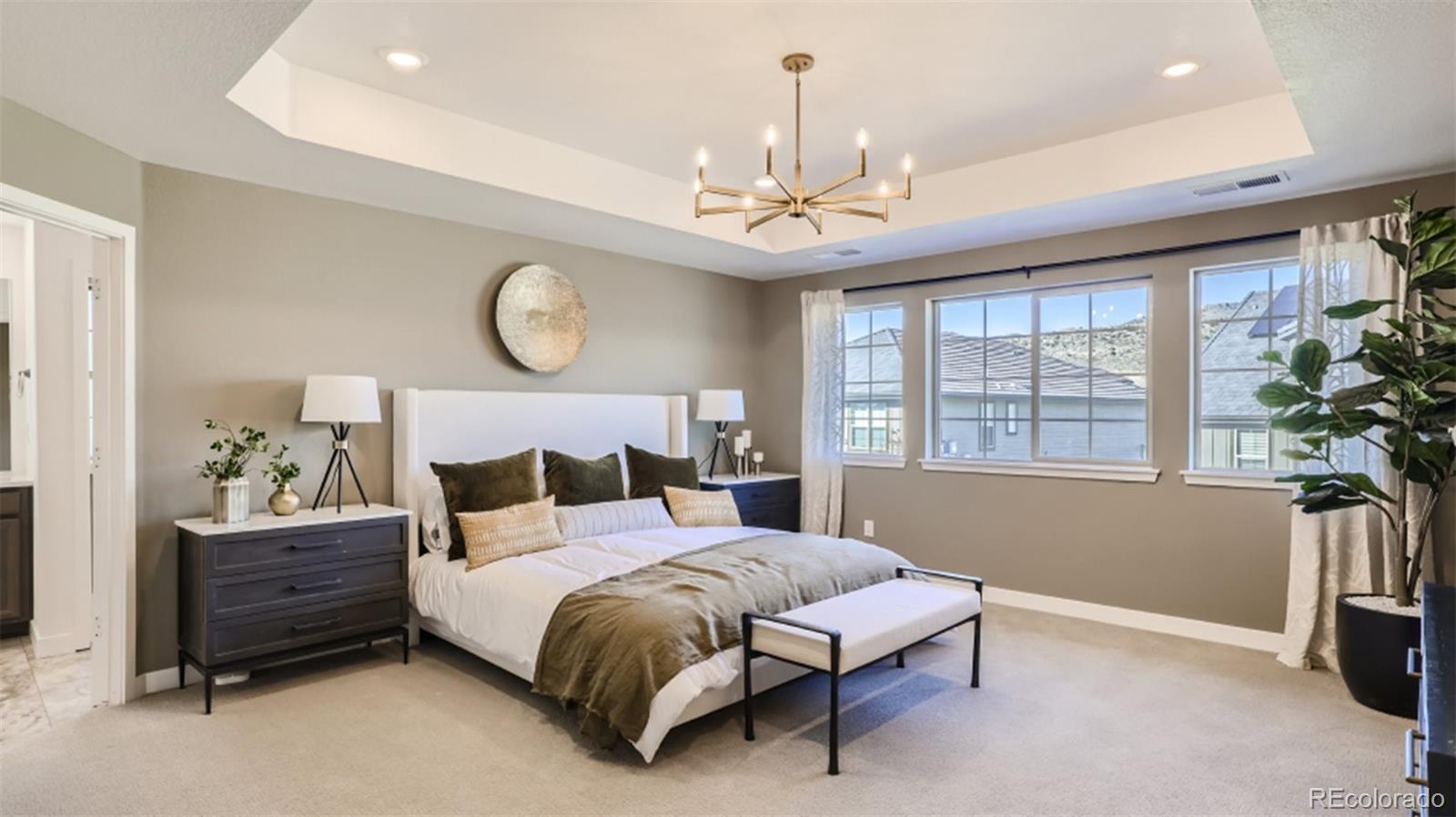 MLS Image #10 for 10735  snowdon street,parker, Colorado