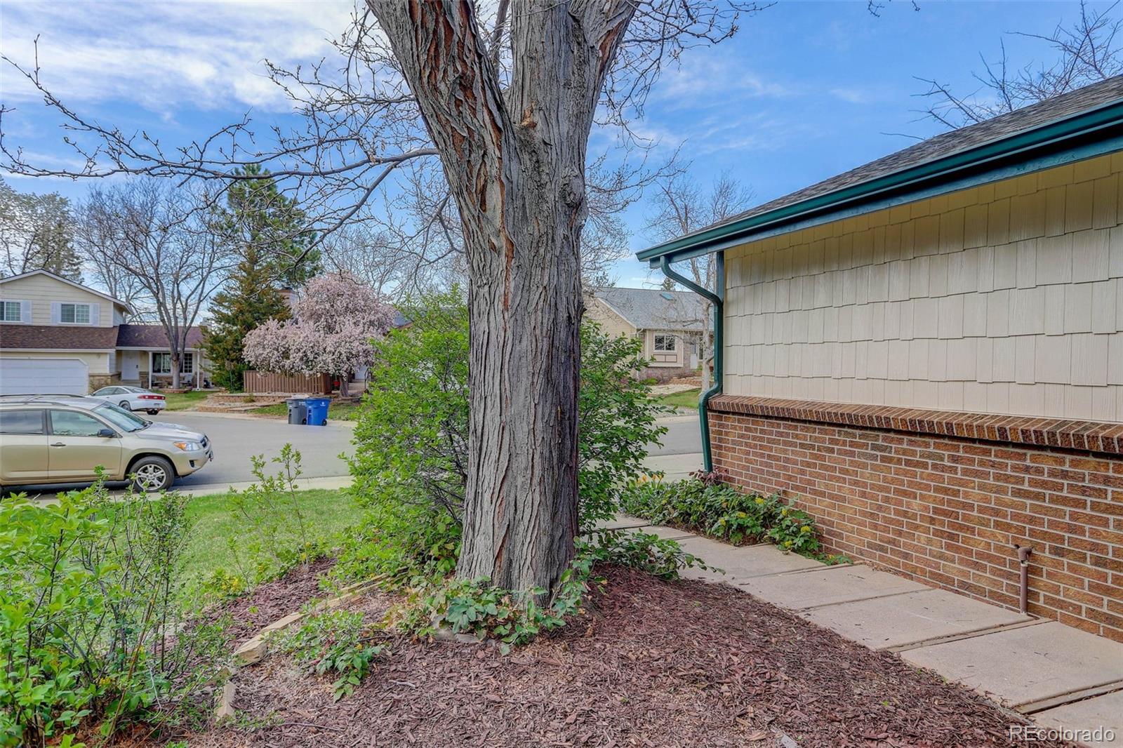 MLS Image #4 for 130  grouse place,highlands ranch, Colorado