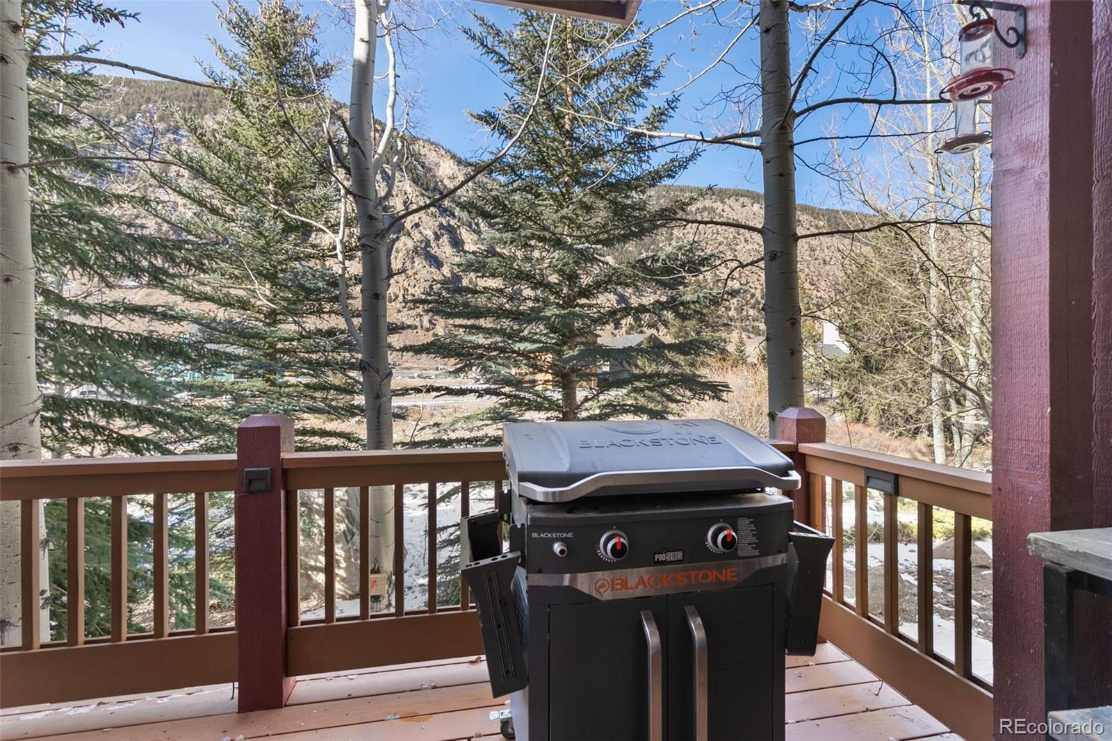 MLS Image #23 for 2120  major anderson drive,georgetown, Colorado