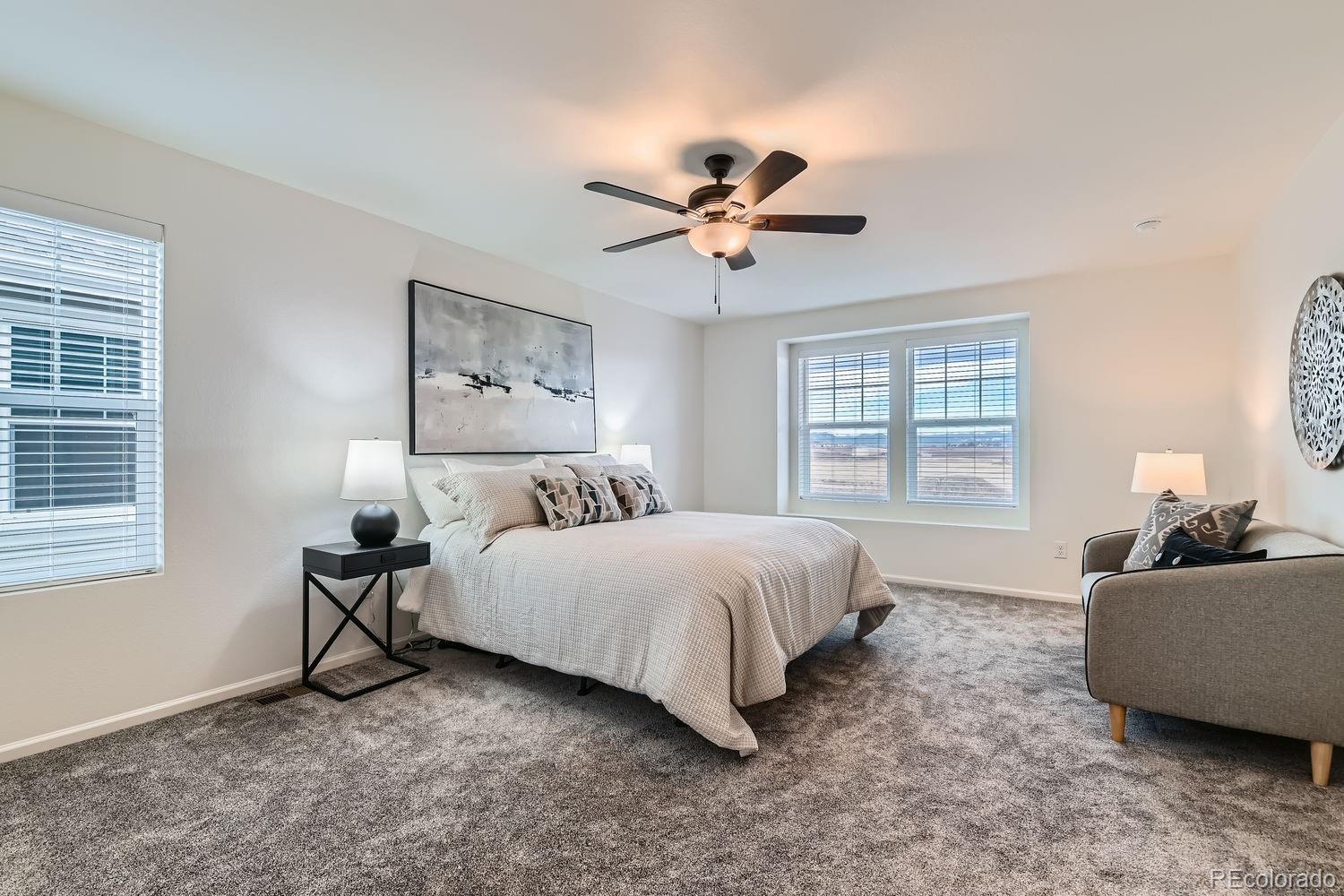 MLS Image #13 for 3421  bluestem street,dacono, Colorado