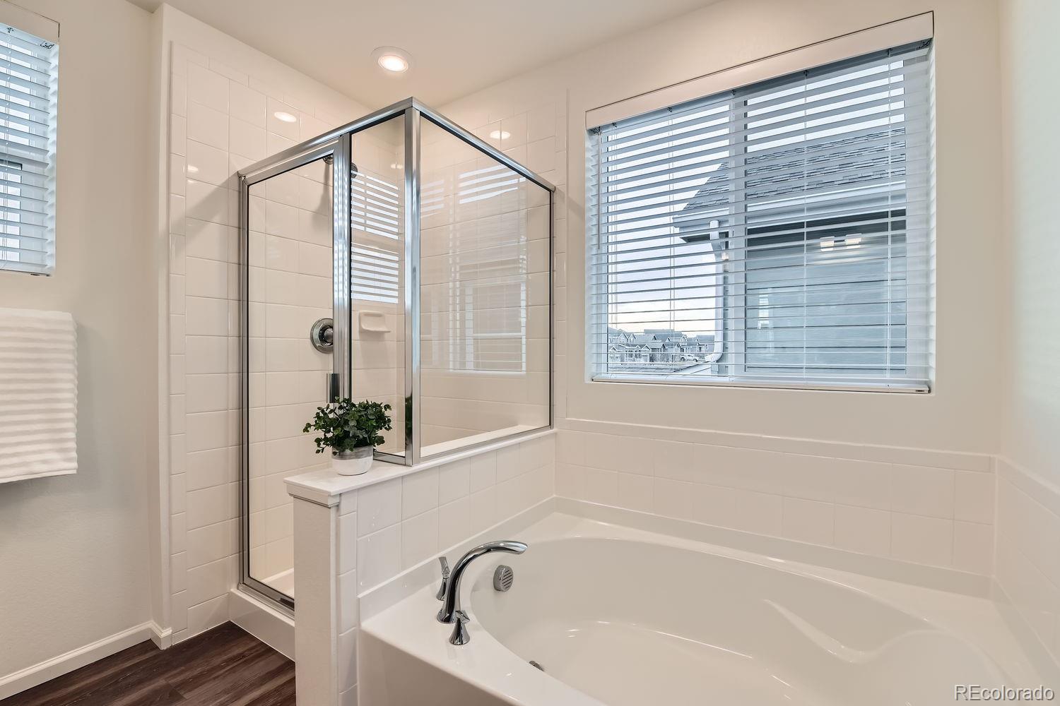 MLS Image #17 for 3421  bluestem street,dacono, Colorado