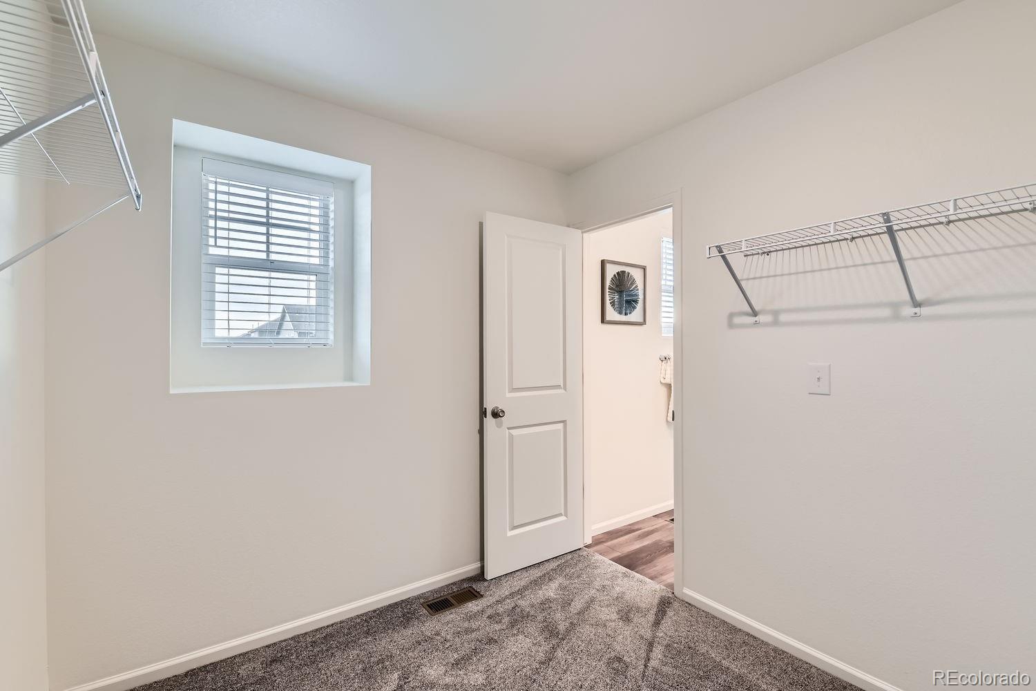 MLS Image #18 for 3421  bluestem street,dacono, Colorado