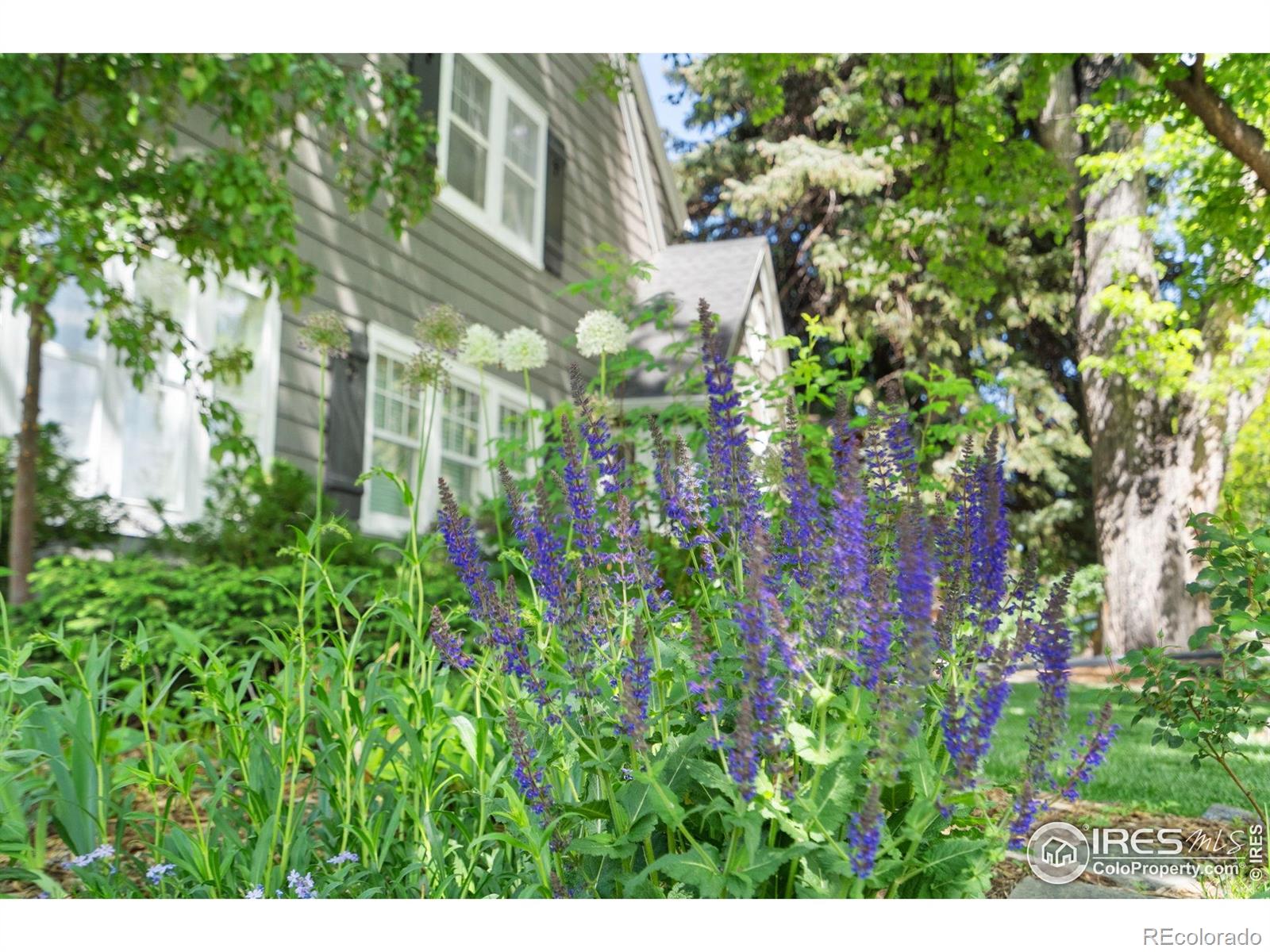 MLS Image #2 for 1130 w oak street,fort collins, Colorado