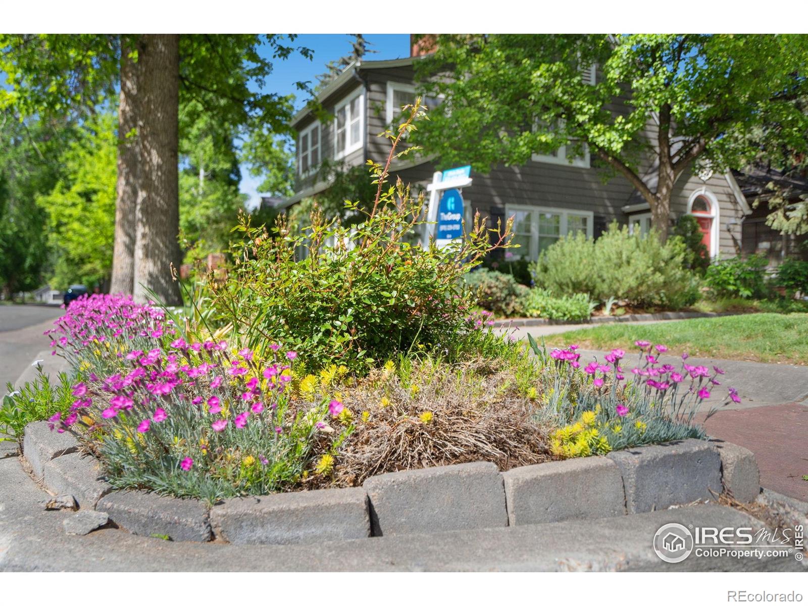 MLS Image #3 for 1130 w oak street,fort collins, Colorado