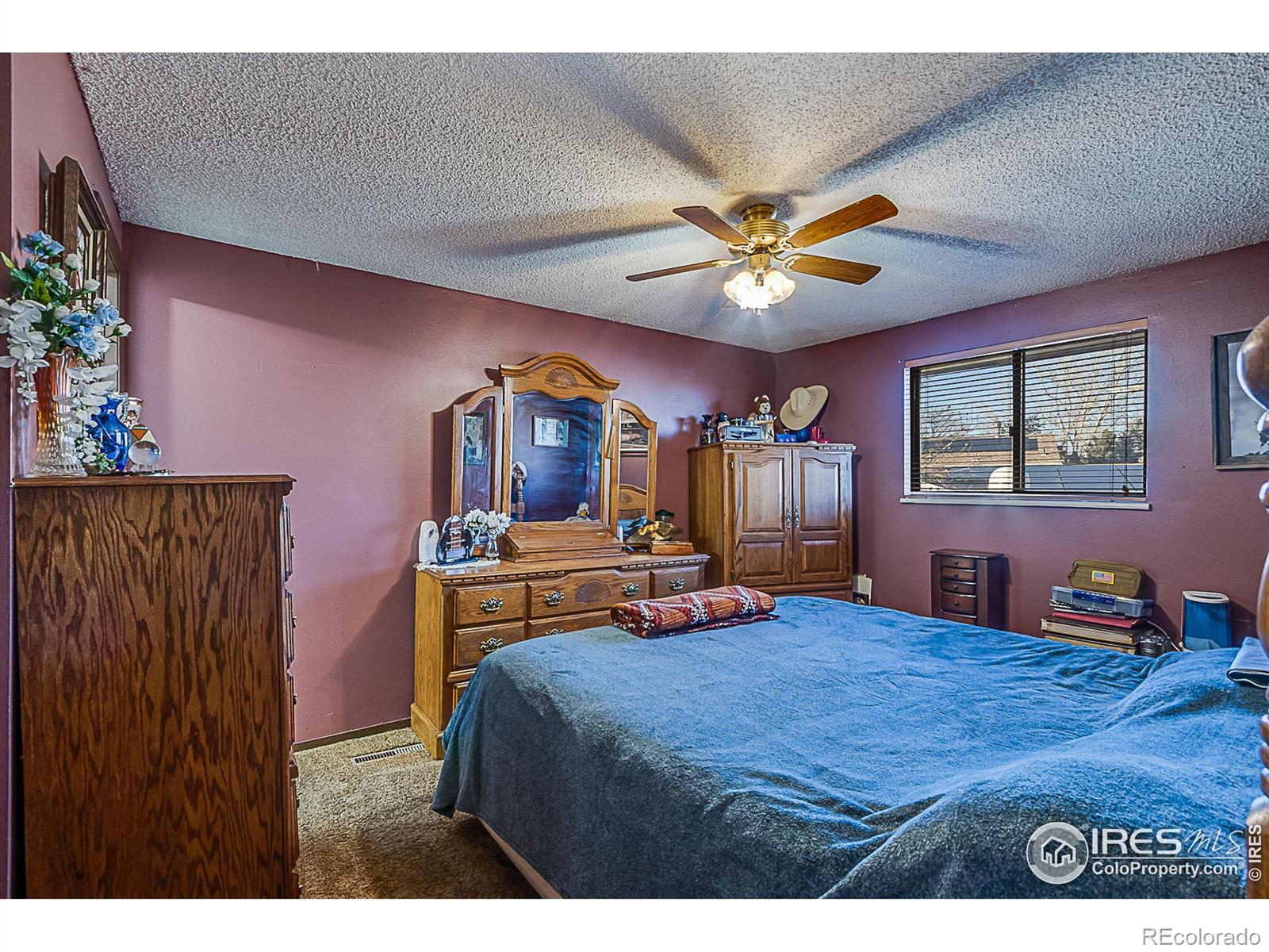 MLS Image #11 for 155  ivy court,windsor, Colorado