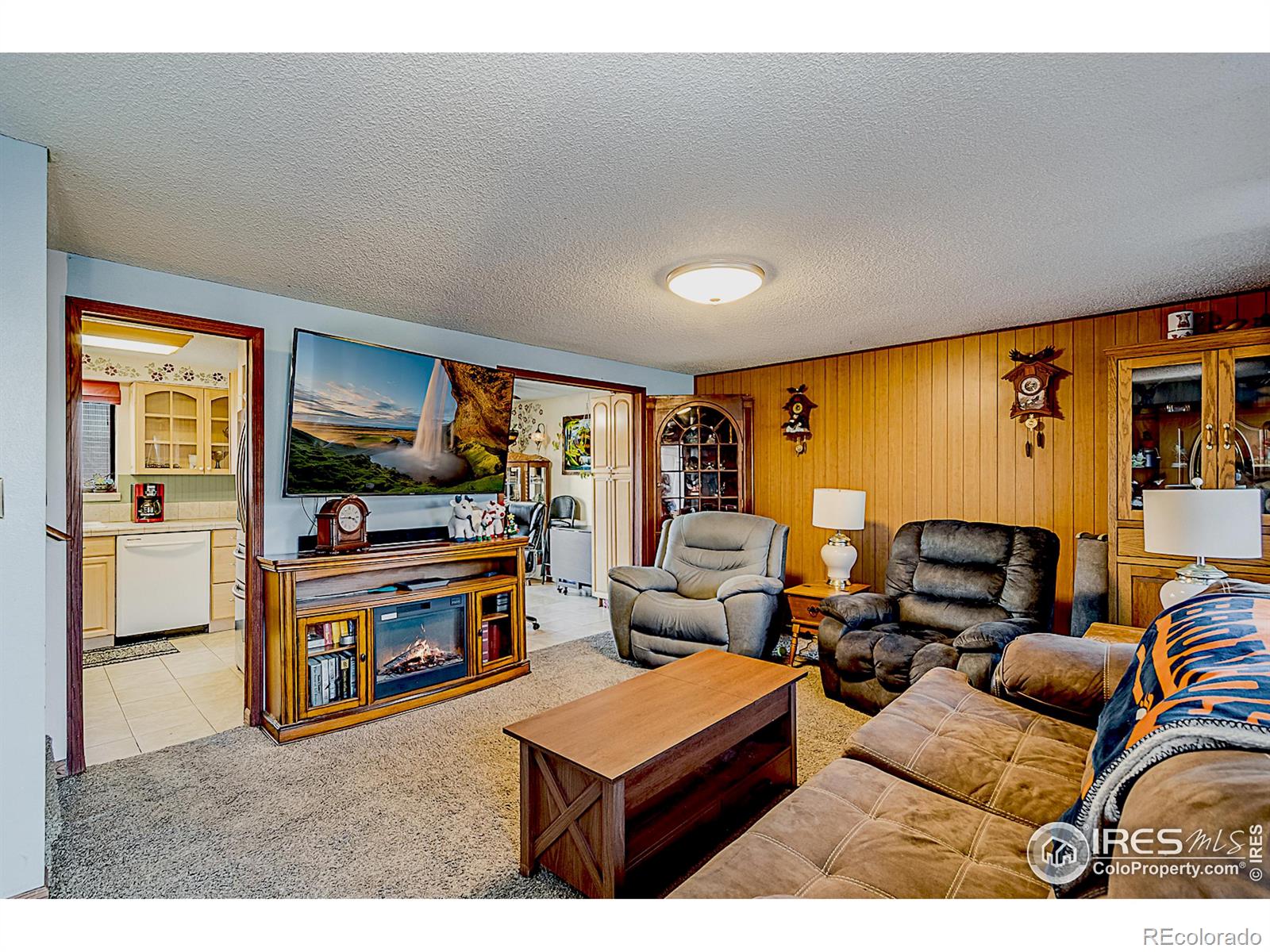 MLS Image #3 for 155  ivy court,windsor, Colorado