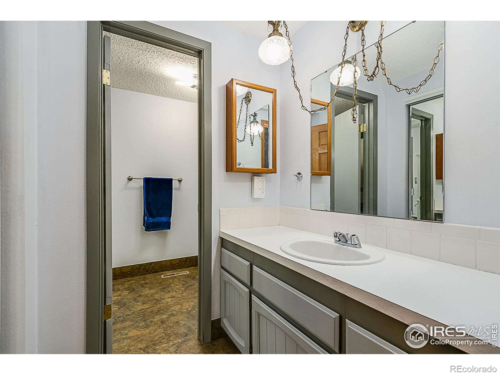 MLS Image #9 for 155  ivy court,windsor, Colorado