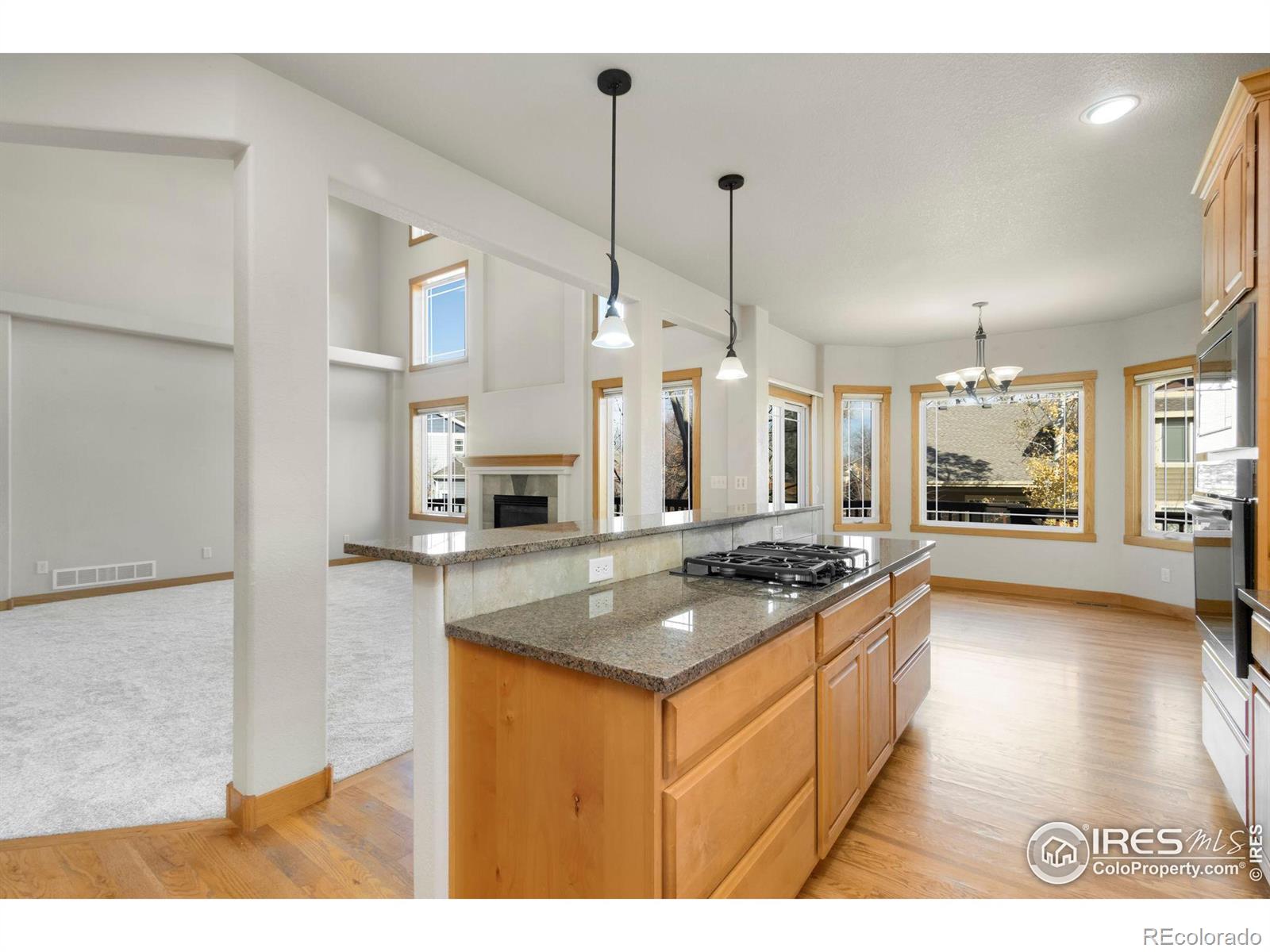 MLS Image #10 for 1424  paddle court,fort collins, Colorado