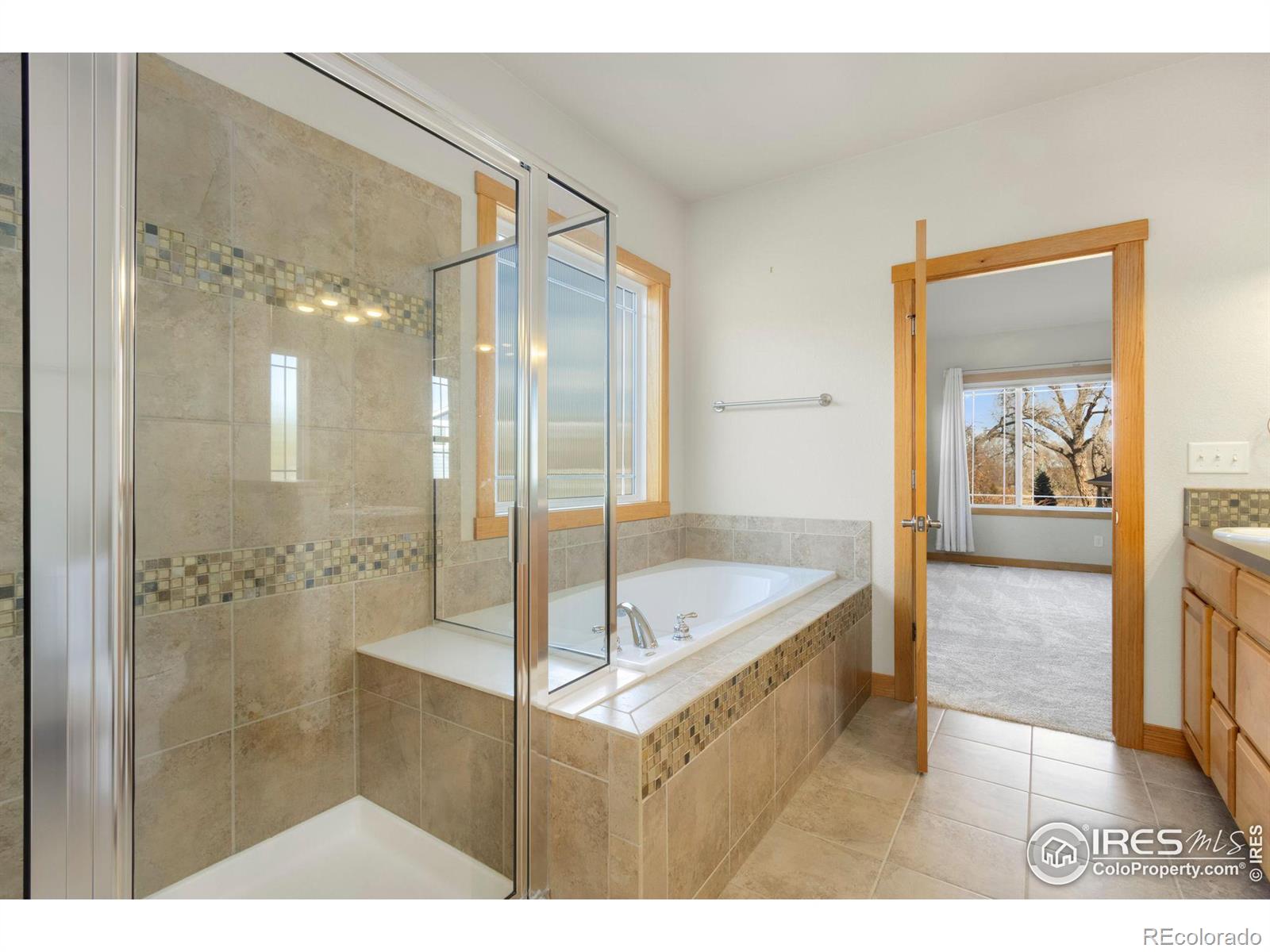 MLS Image #21 for 1424  paddle court,fort collins, Colorado