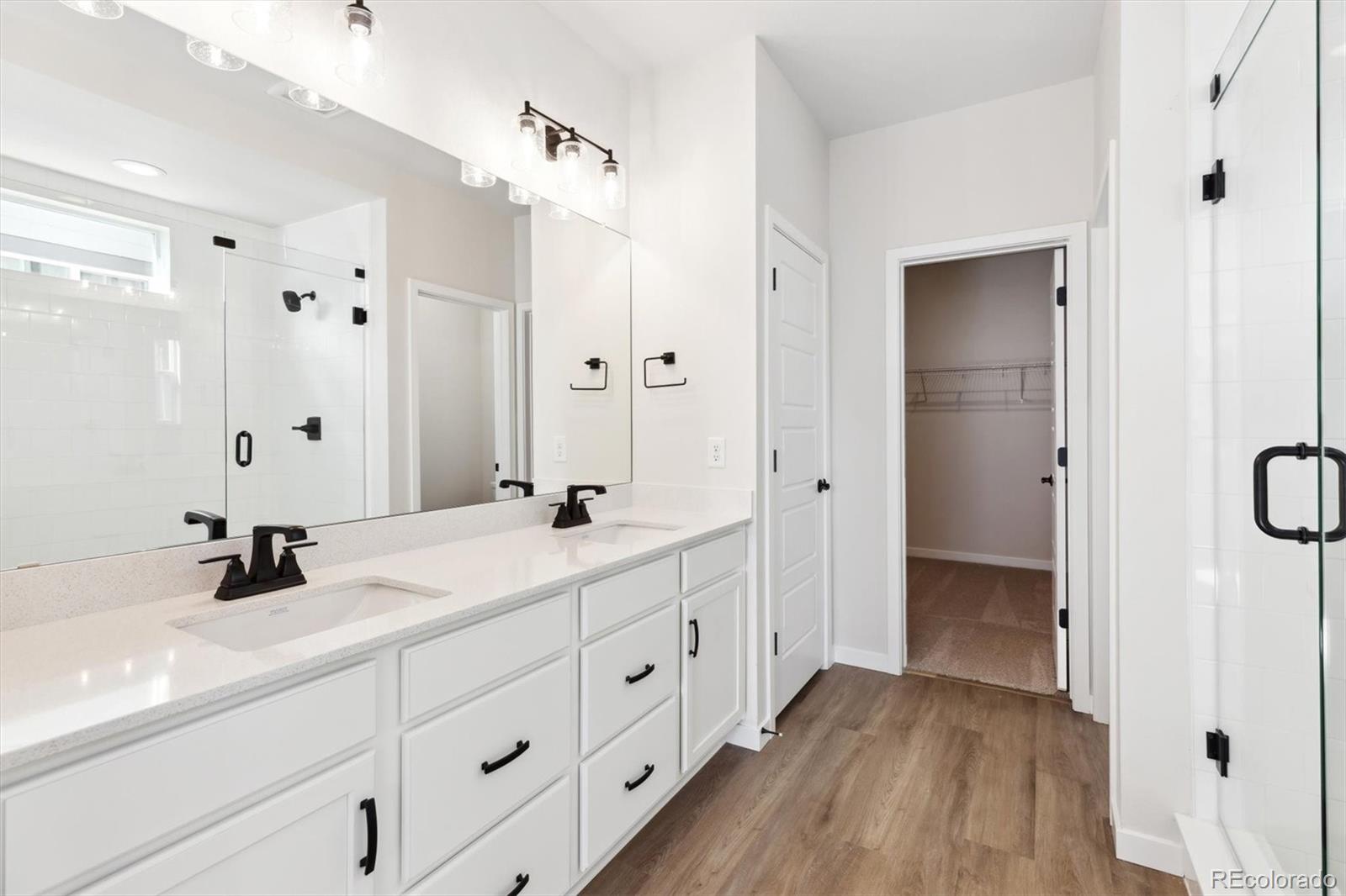 MLS Image #12 for 8588  eagle river street,littleton, Colorado