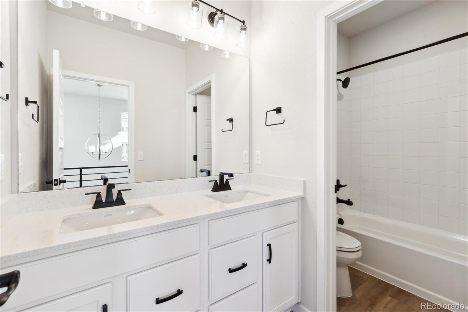 MLS Image #14 for 8588  eagle river street,littleton, Colorado