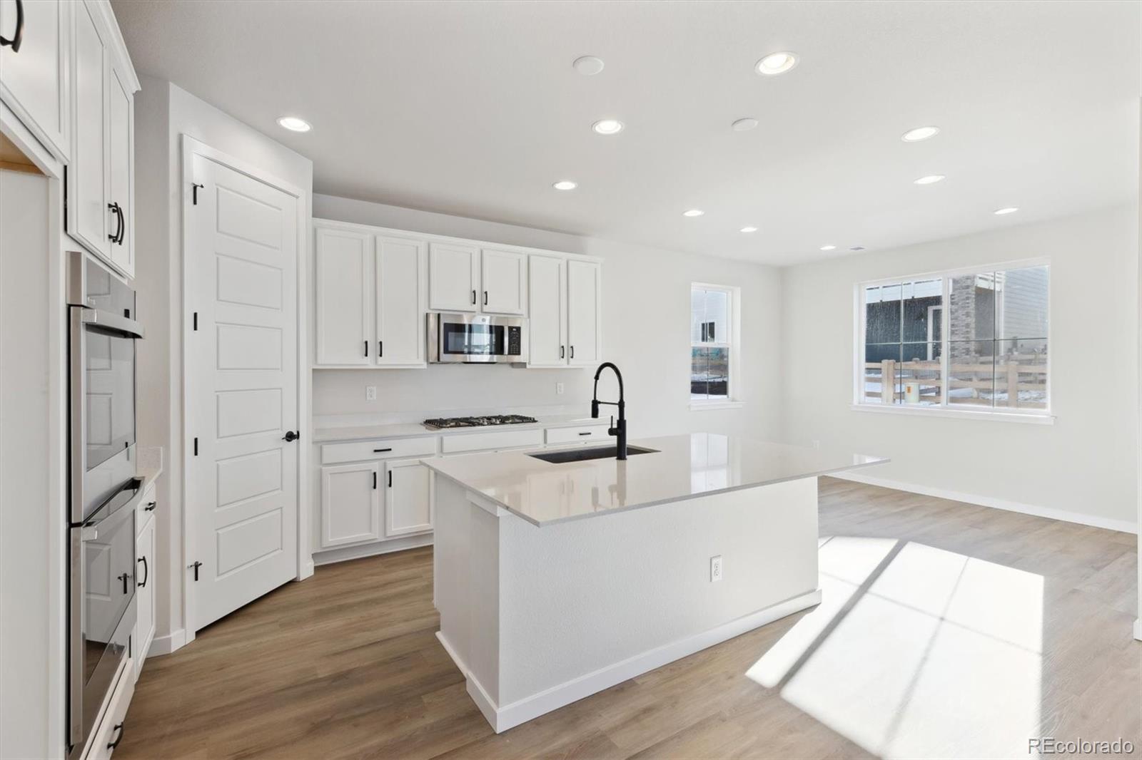 MLS Image #5 for 8588  eagle river street,littleton, Colorado