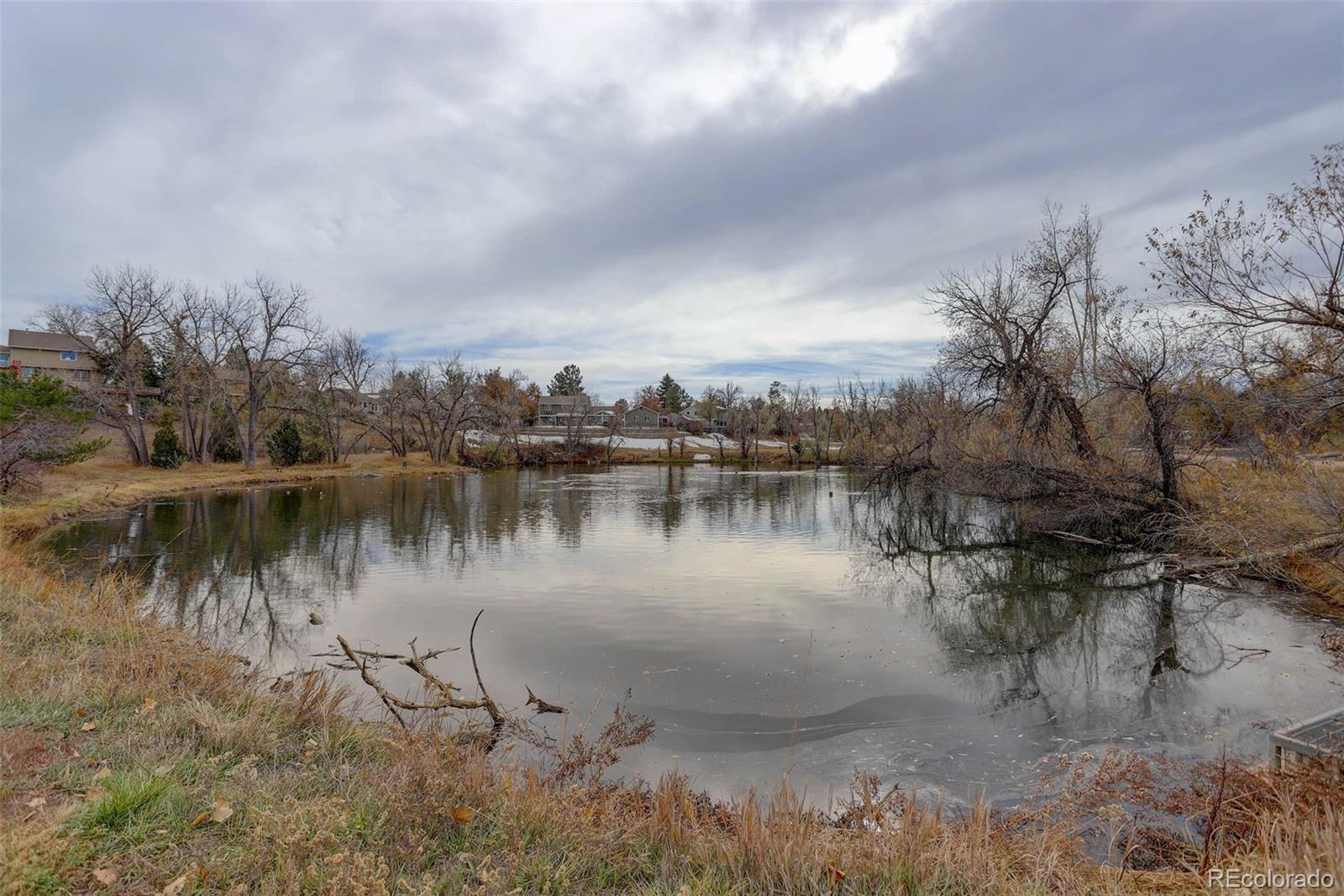 MLS Image #38 for 6867 s elizabeth street,centennial, Colorado